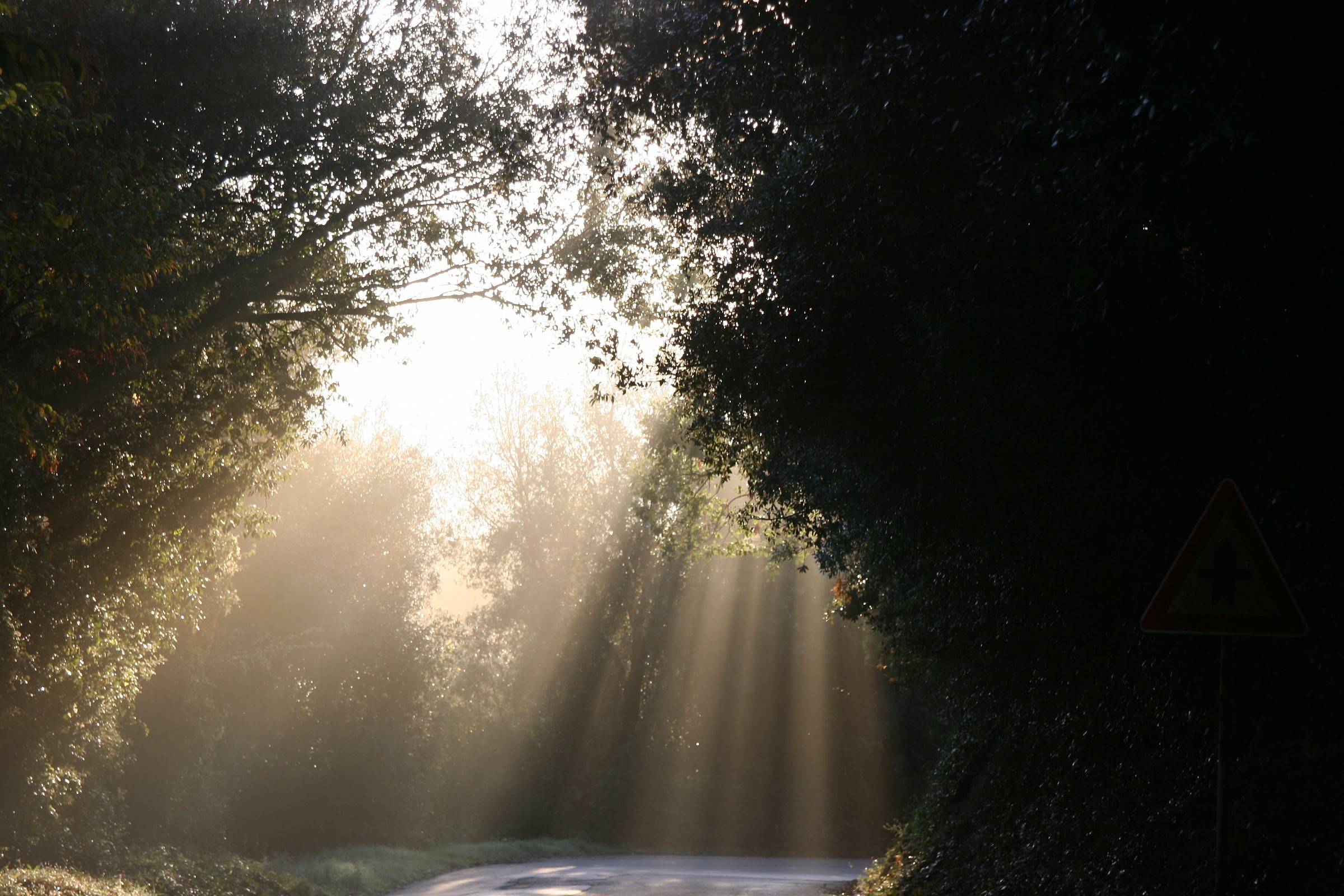 Narni, road Guadamello. Sunbeams