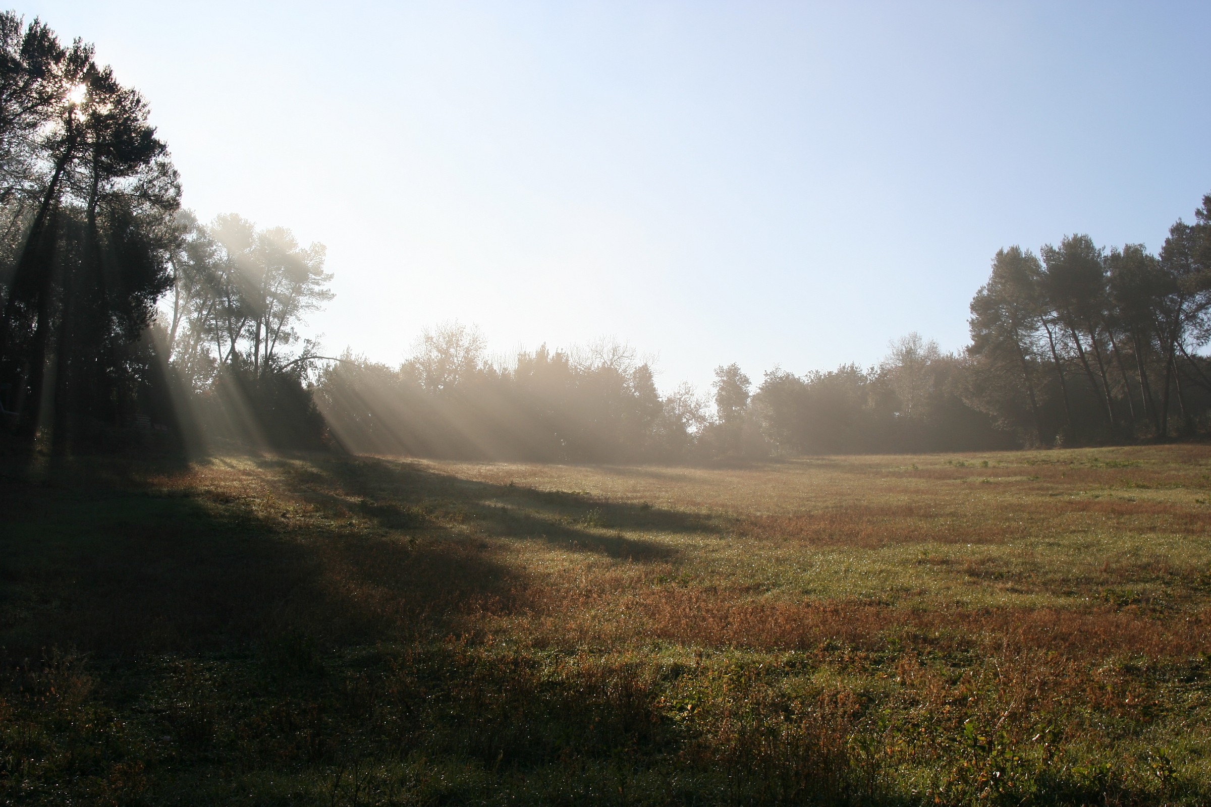 Narni, Madonna Discovery