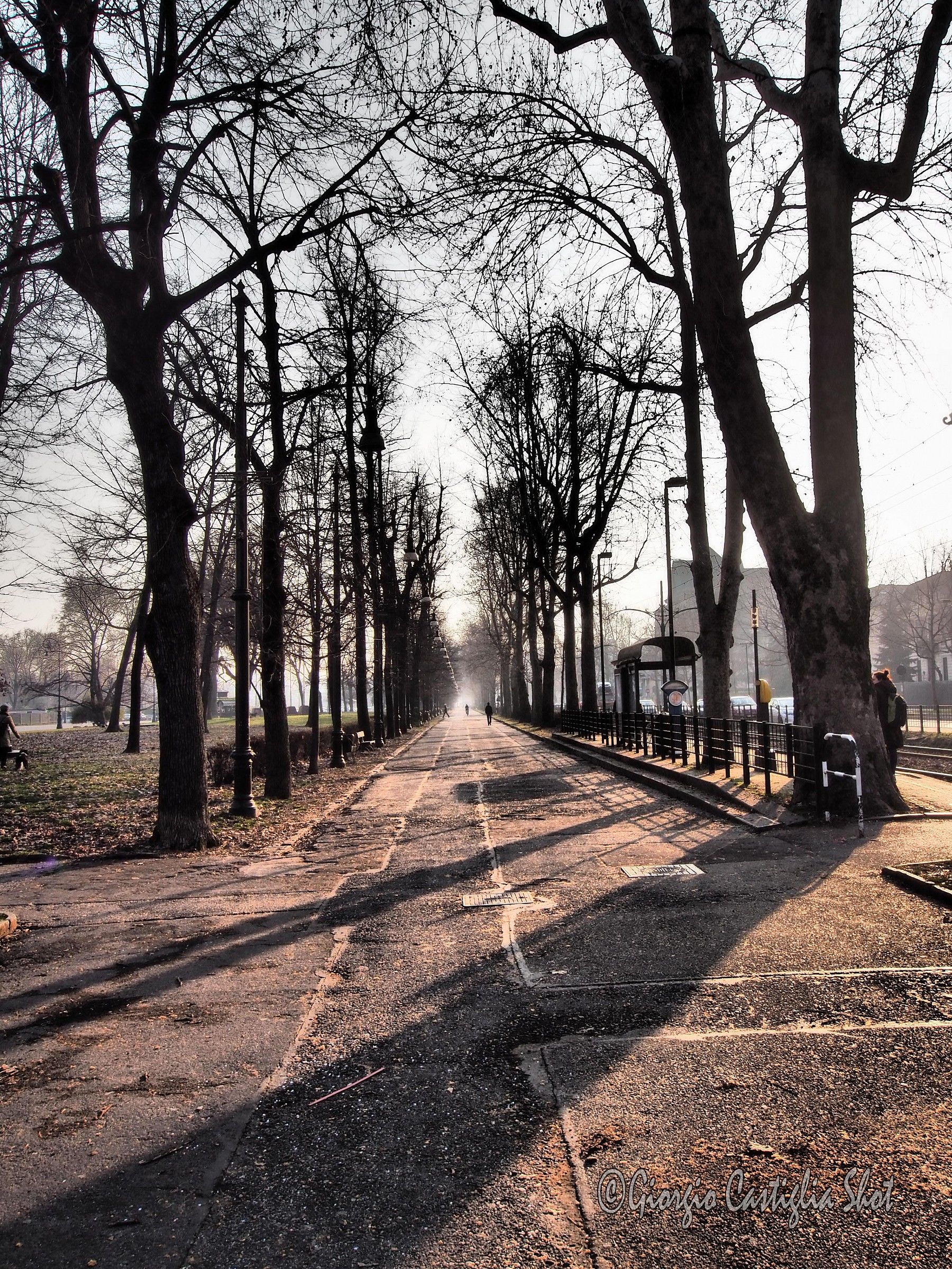 February avenues of Turin