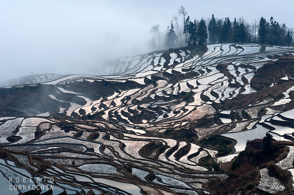 Risaie all'alba, Yuanyang