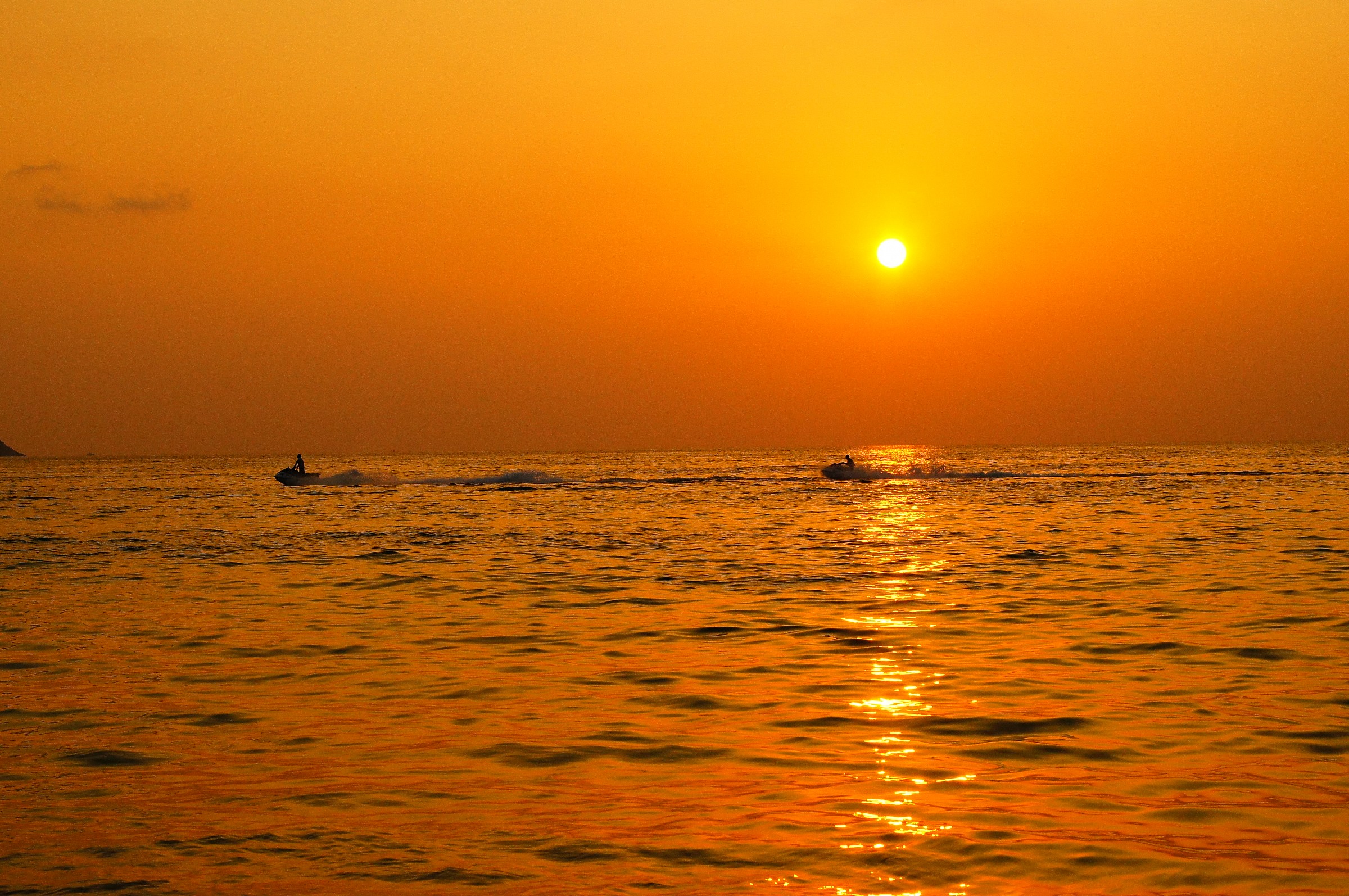 Libertà acquatica al tramonto.