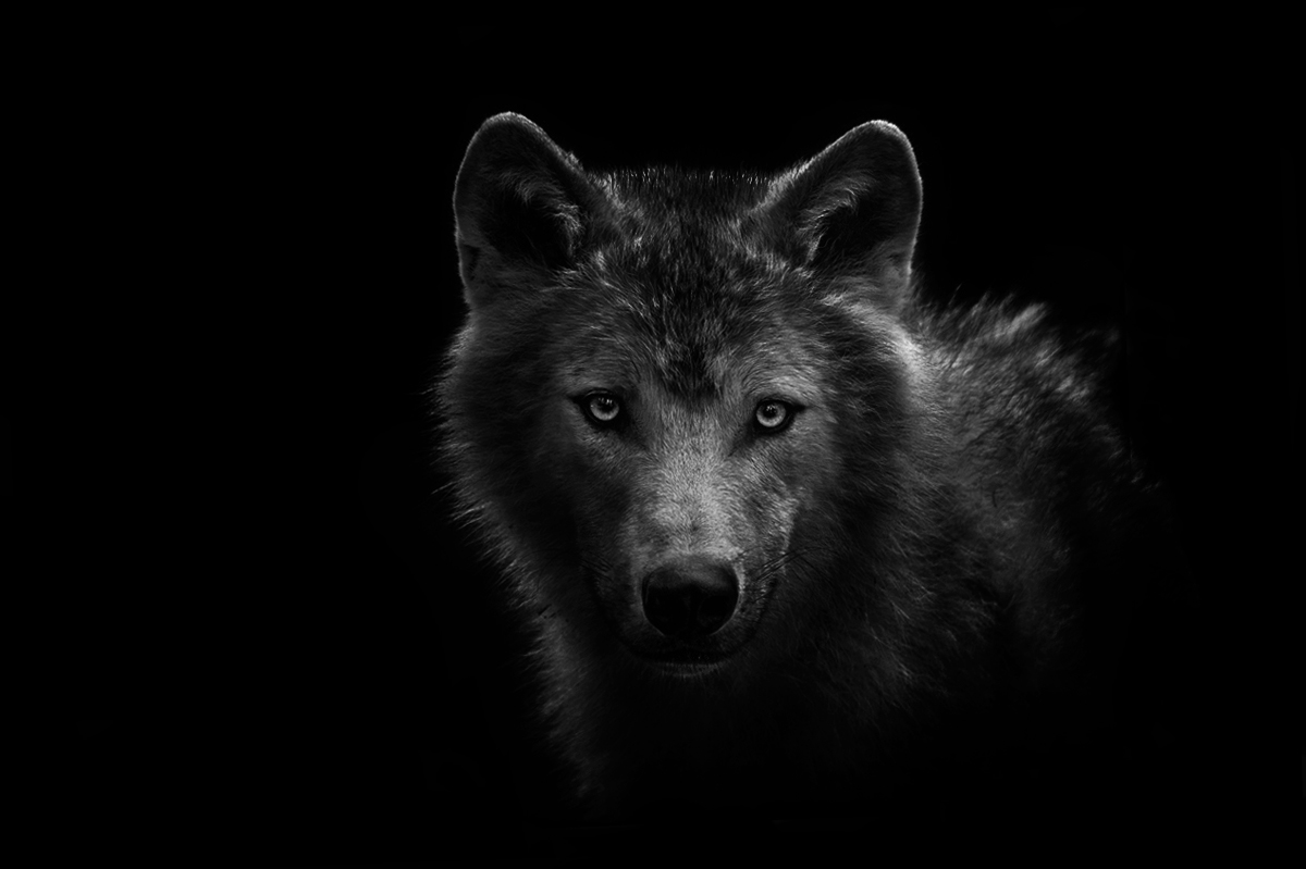 Black and White emotion