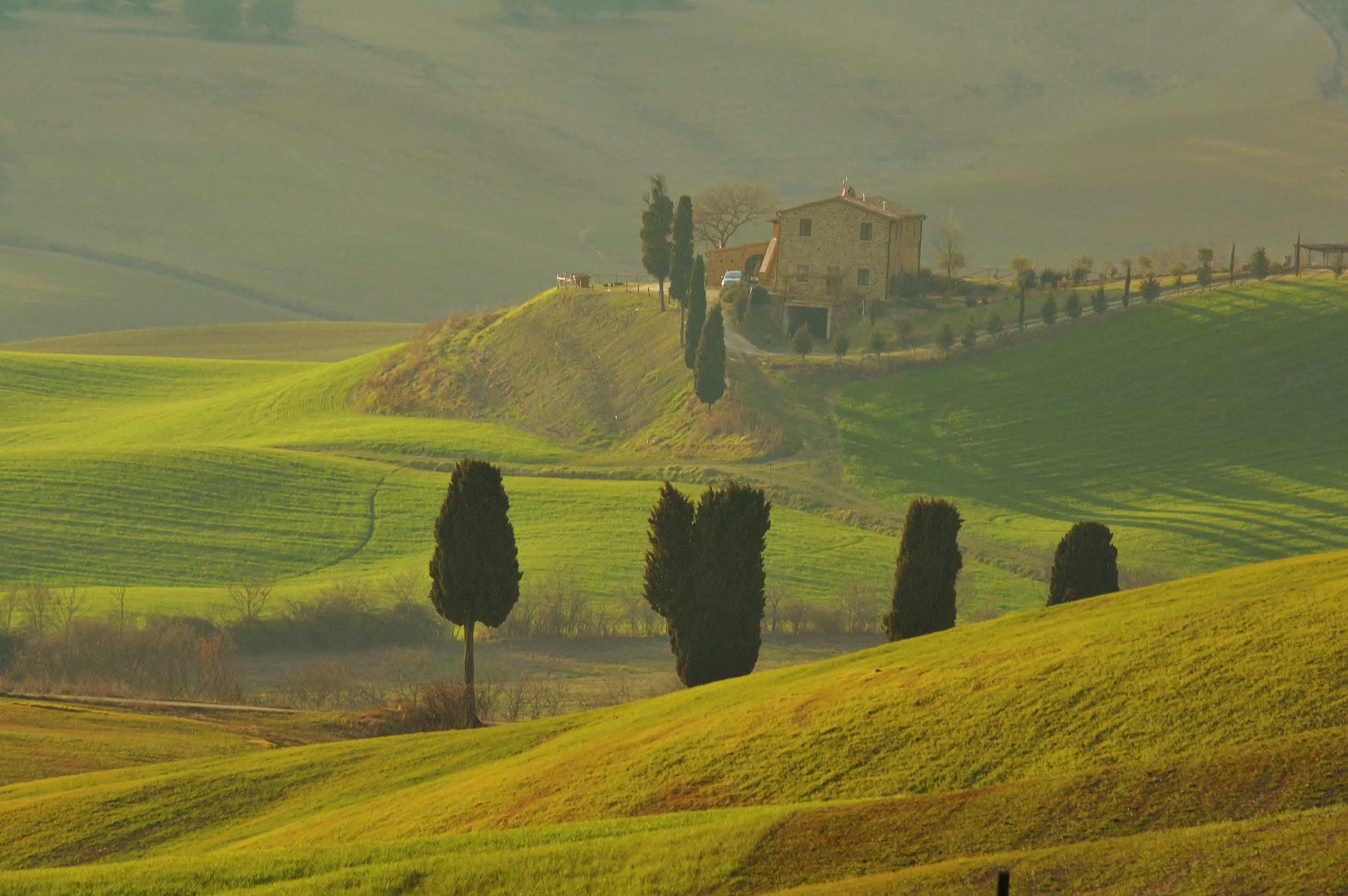 Fattoria Fenili, Pienza