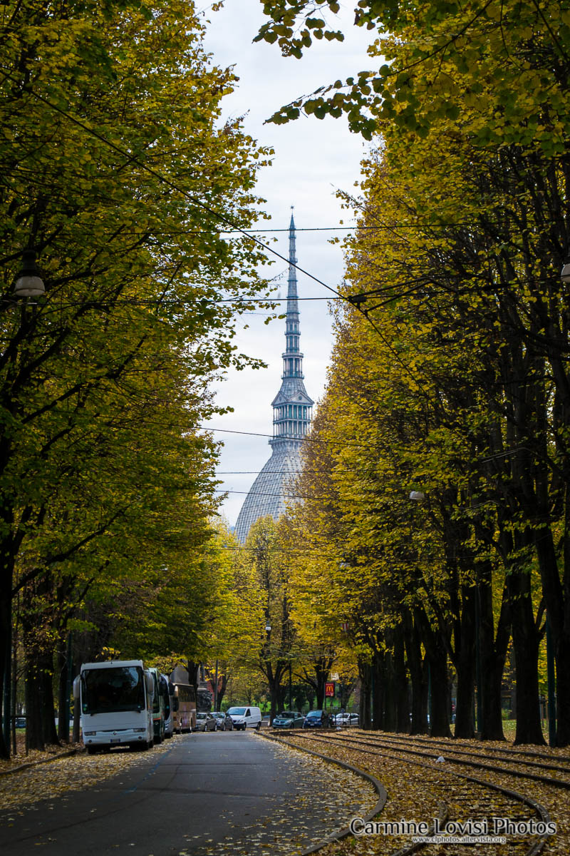 Autumn Turin