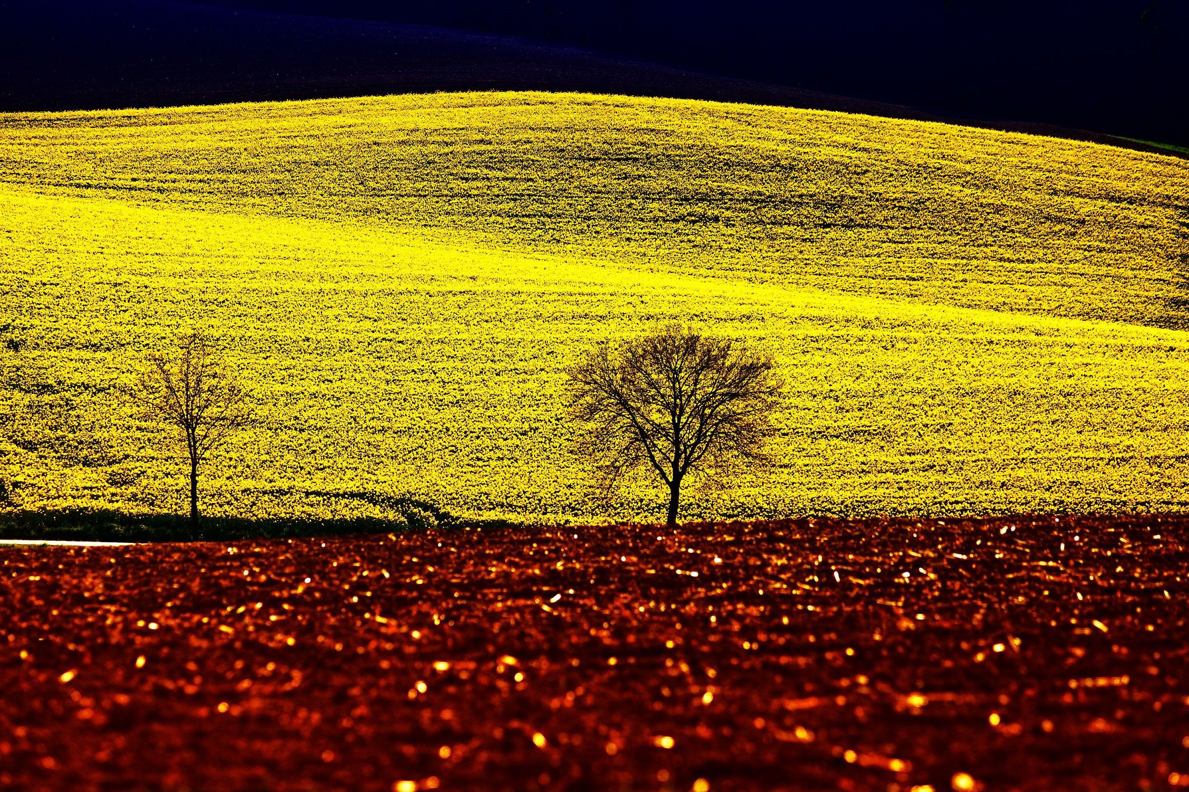 il richiamo del sole