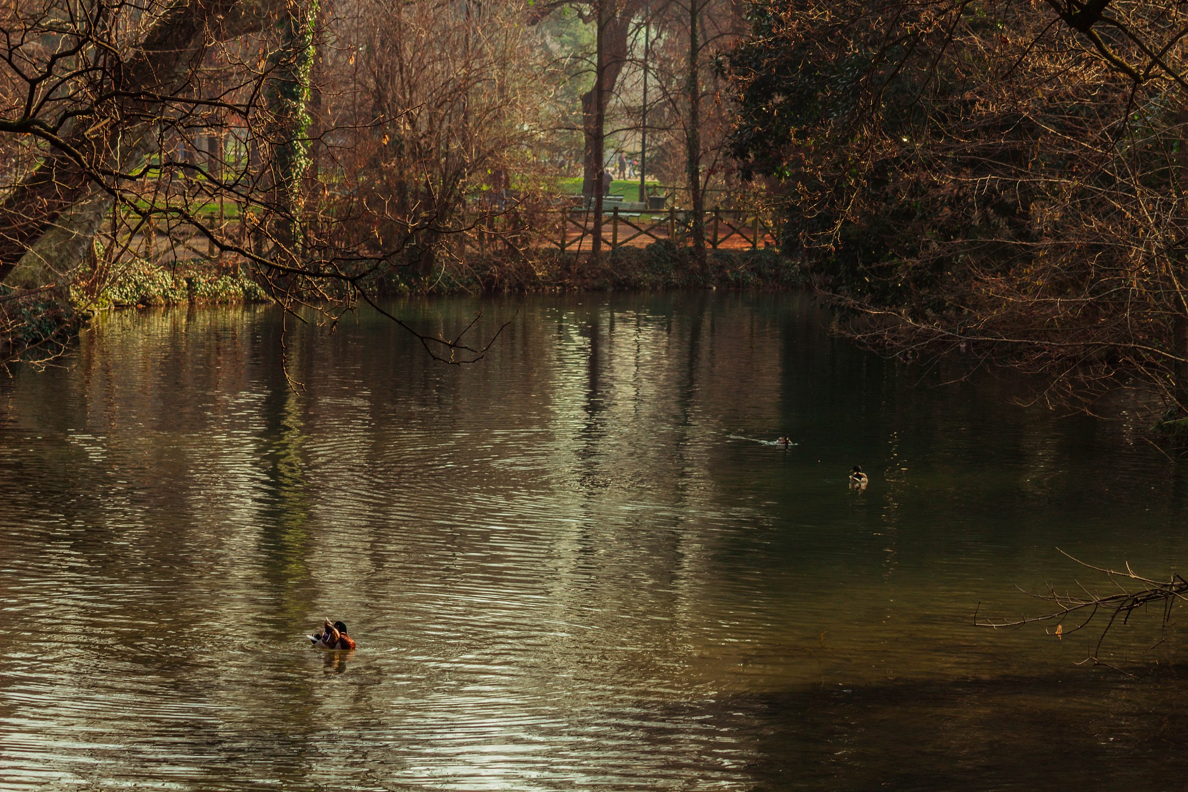 Public Gardens Indro Montanelli