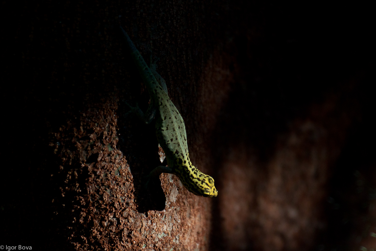 Il tepore risveglia i sensi