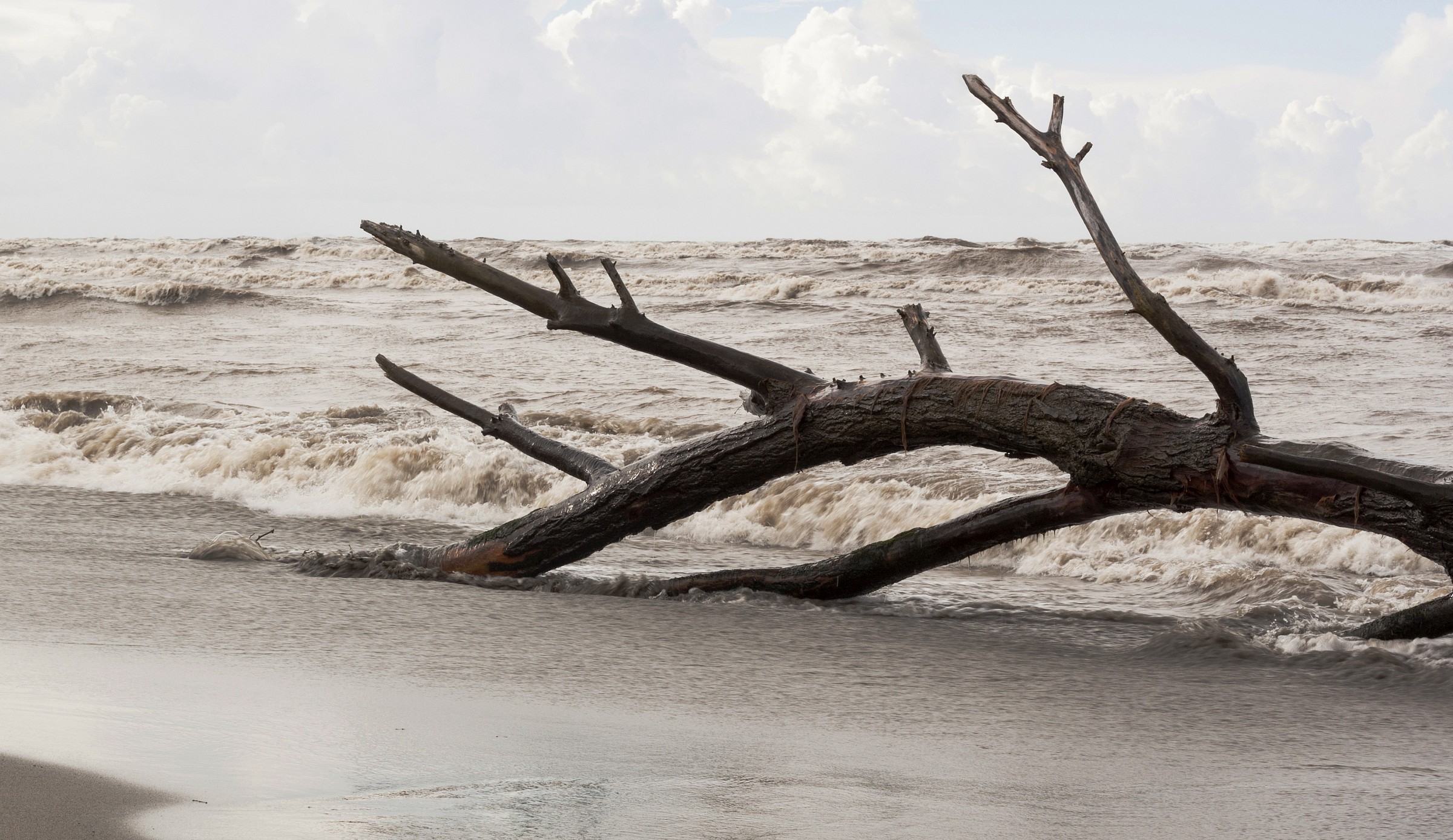 I remember a libecciata