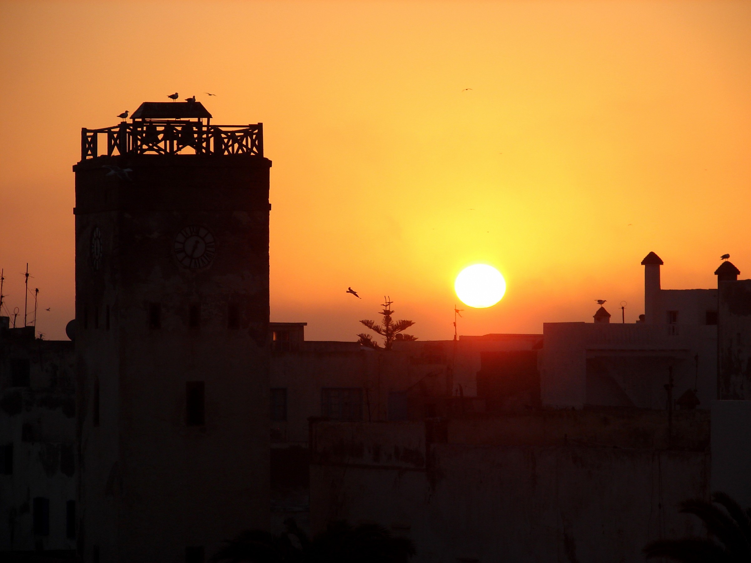 ...aspettando l'ora di cena!!...