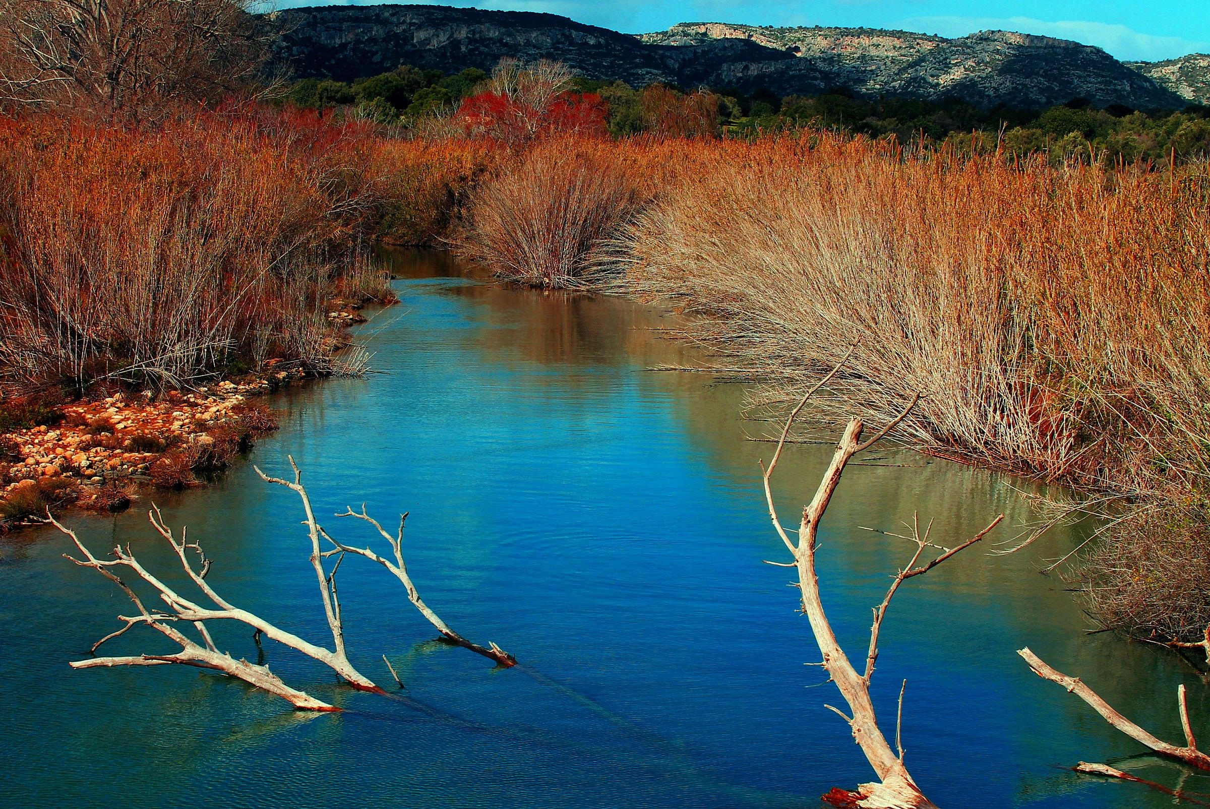 Immergersi Oltre-Tutto