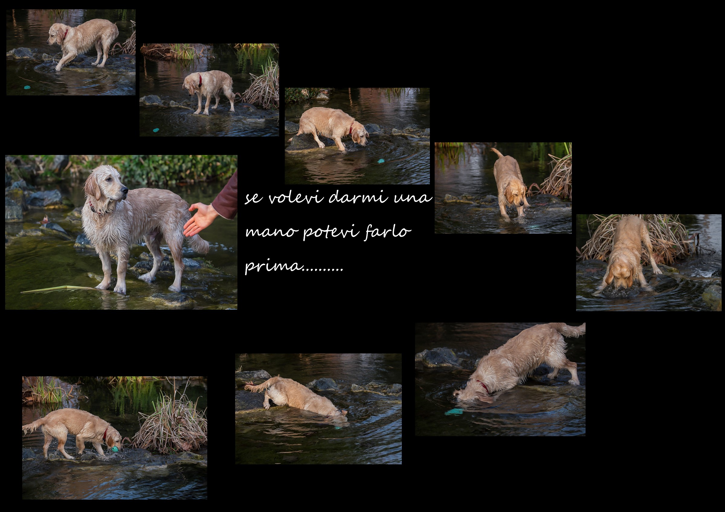 l' aiuto tardivo.....................