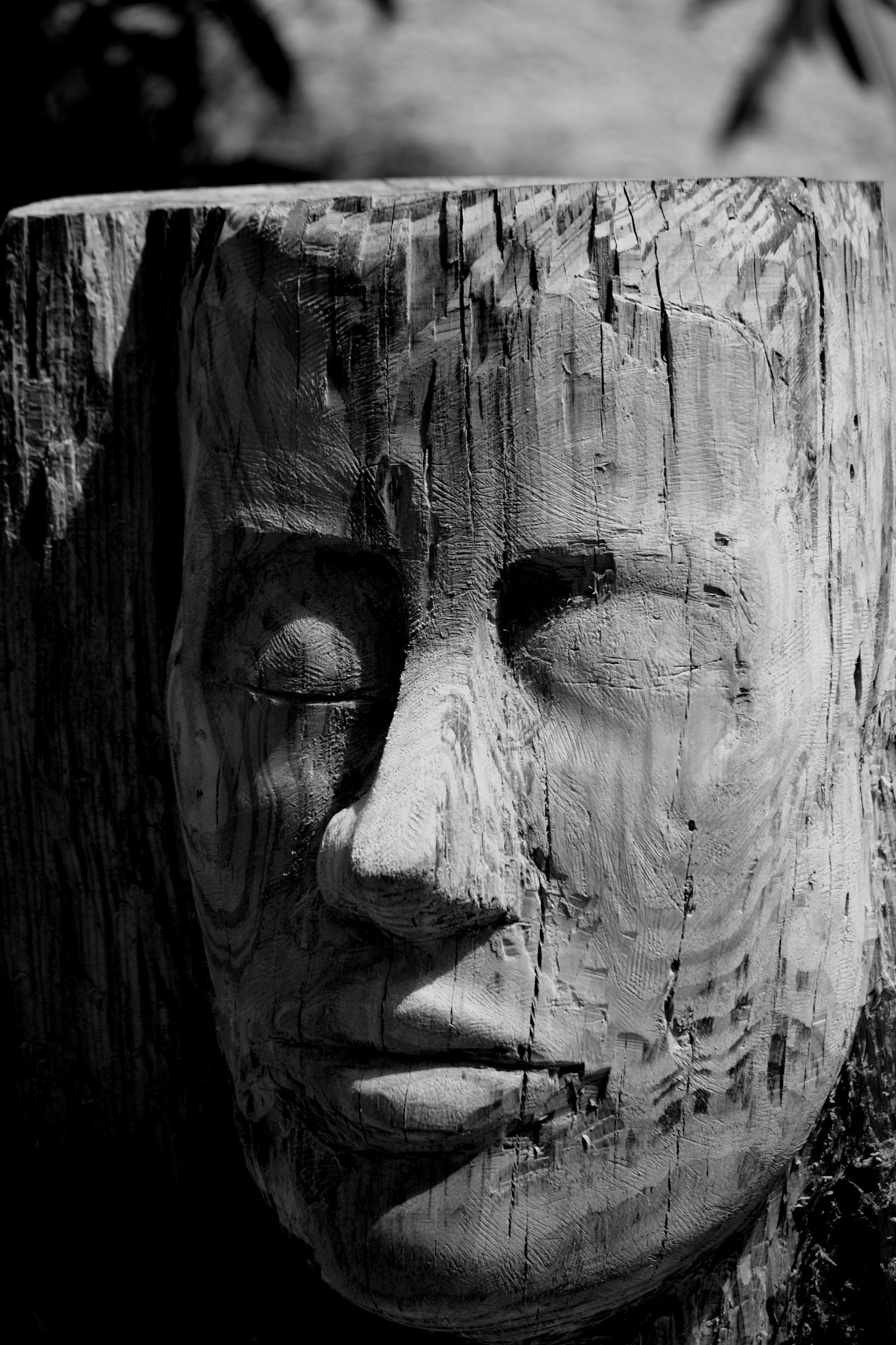 wooden face