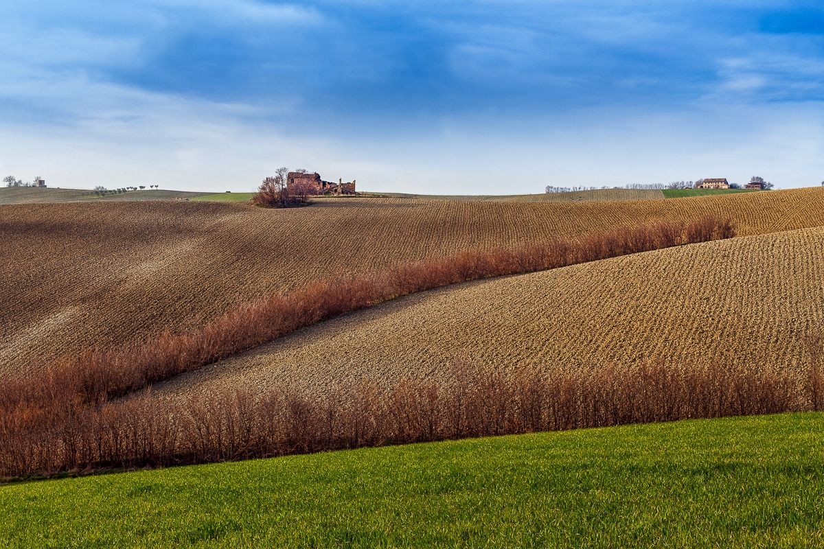 hills of the Marche 2