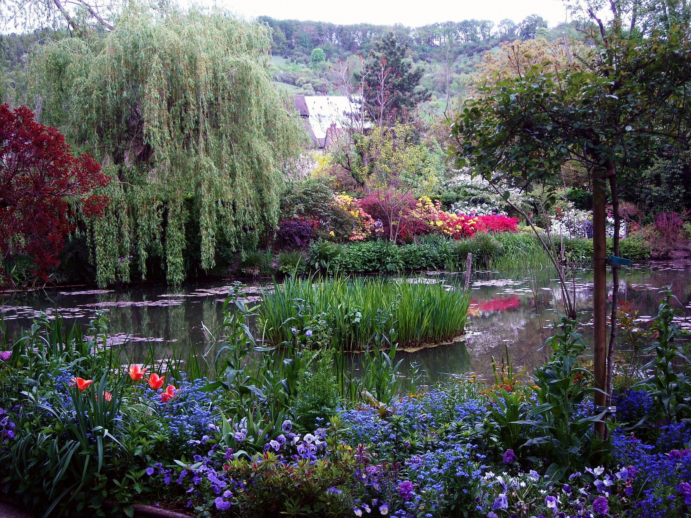 Monet gardens