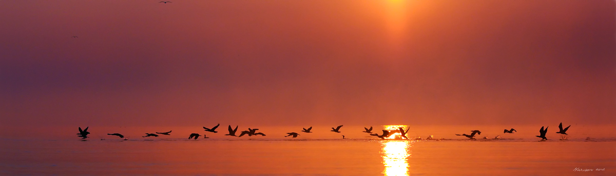 Alba sul delta del Pò