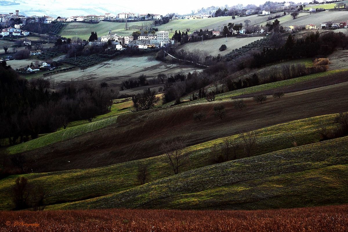 Countries and Hills Brand