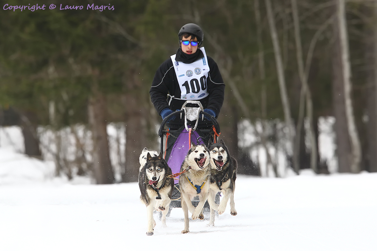 La carica dei 100 + 4