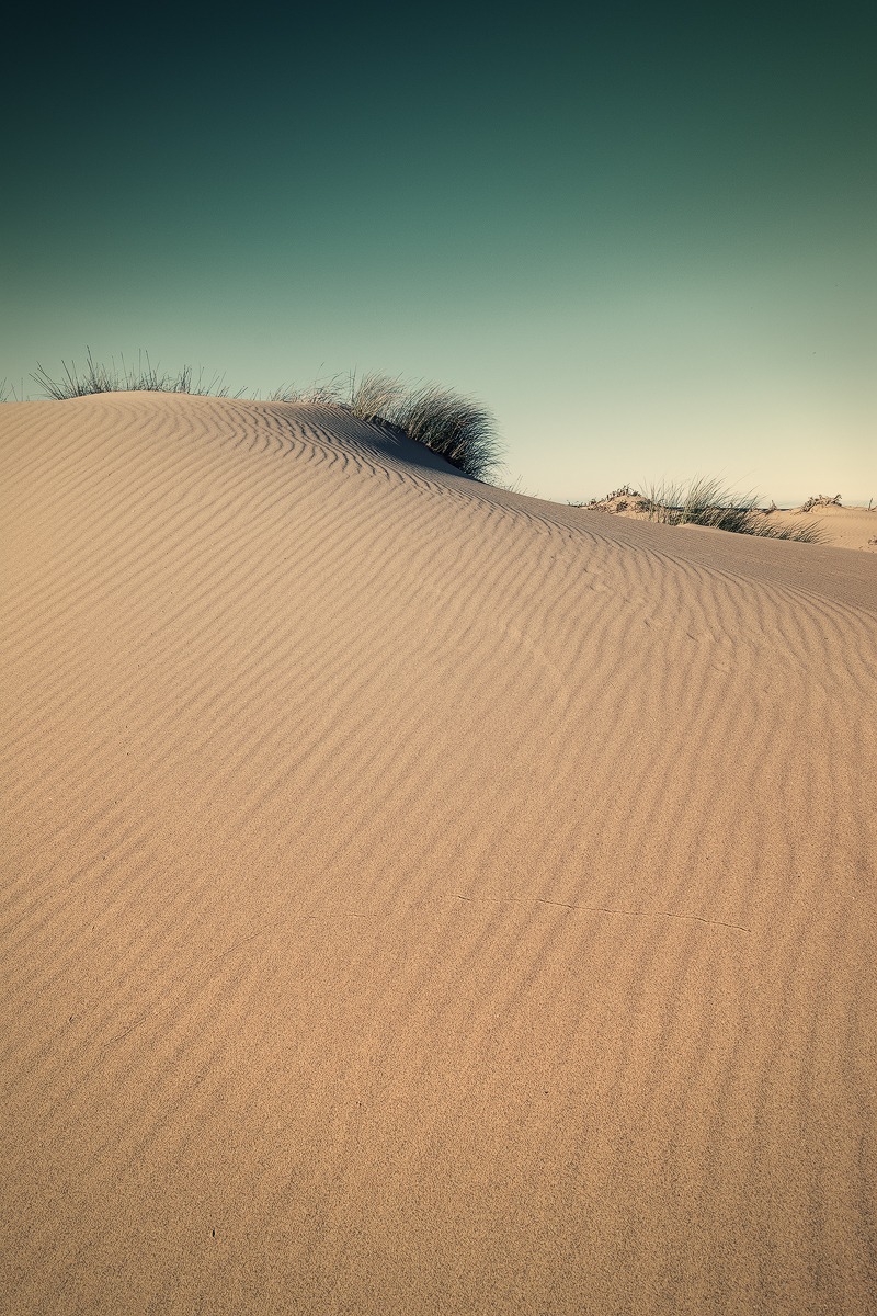 Sand dune in Platamona