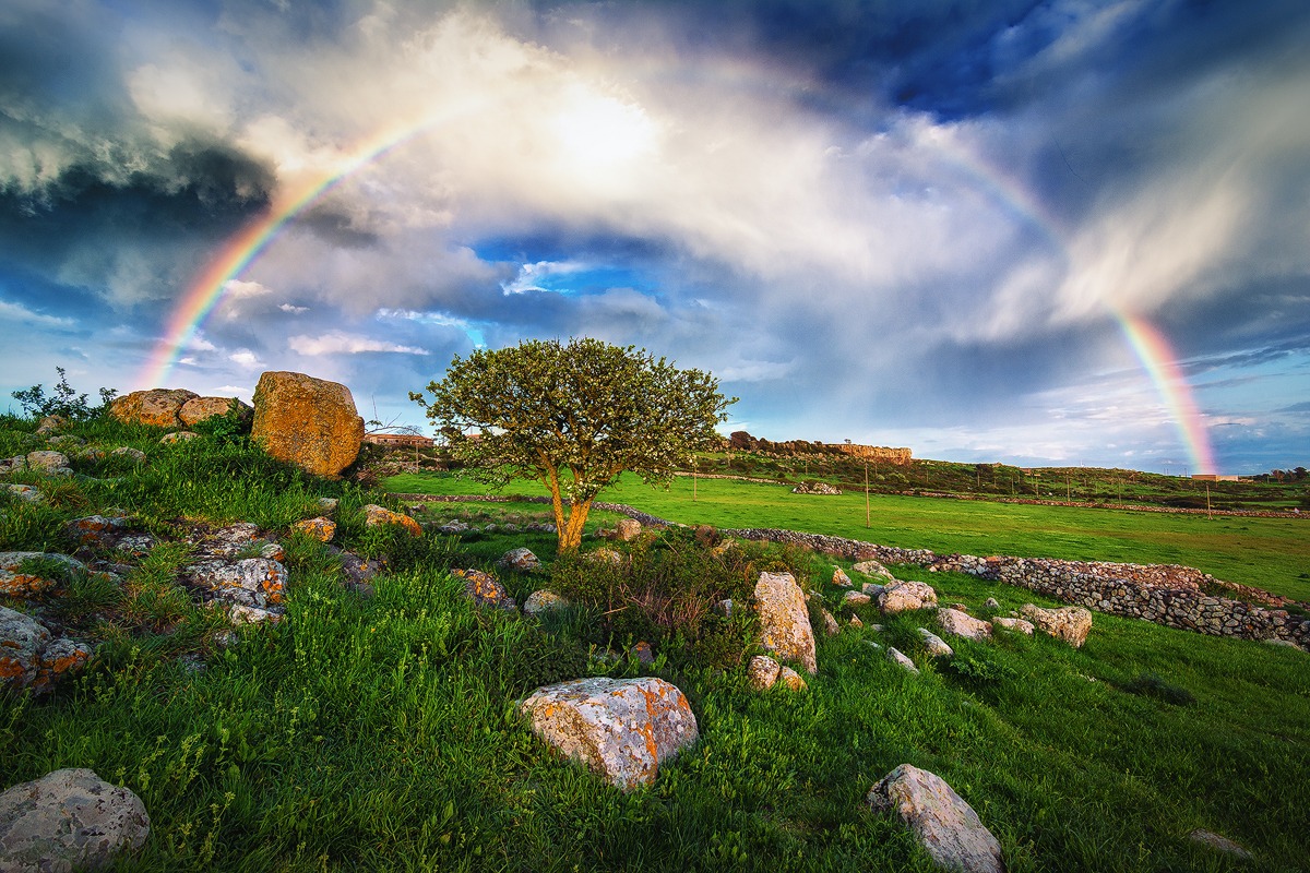 Rainbow with tree