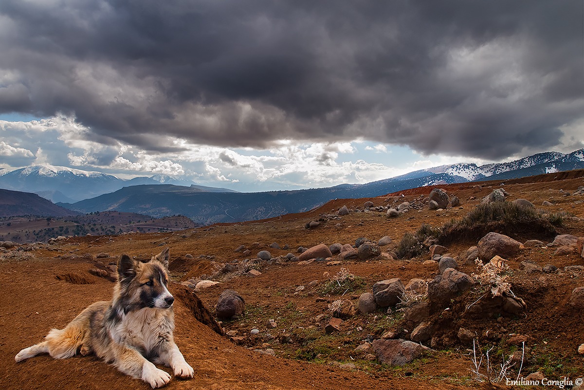 Un inaspettato incontro