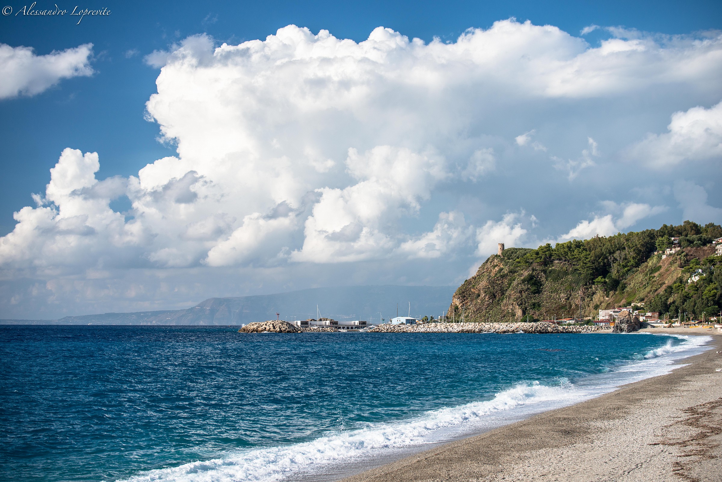 Tuna tower with sarcena