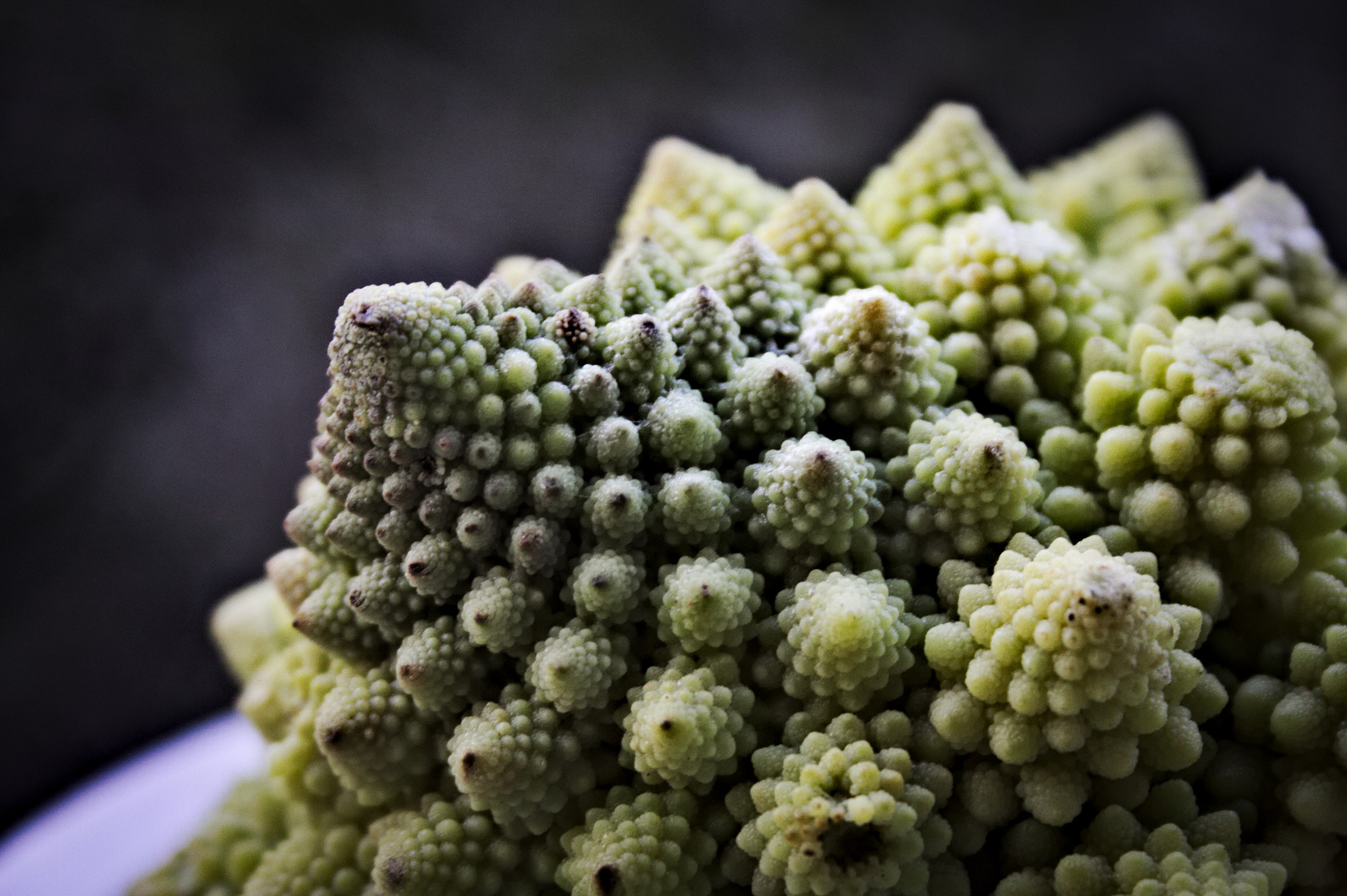 mathematics in nature, poetry