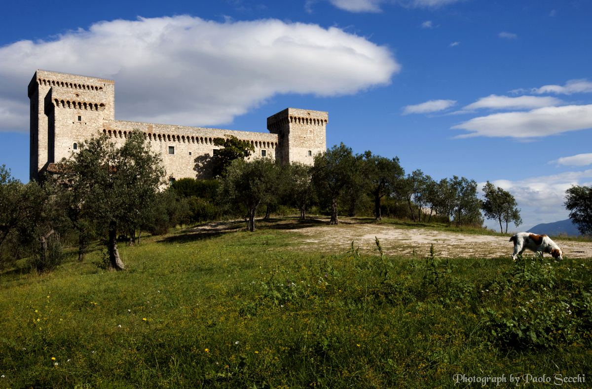 Vago sapore anglosassone