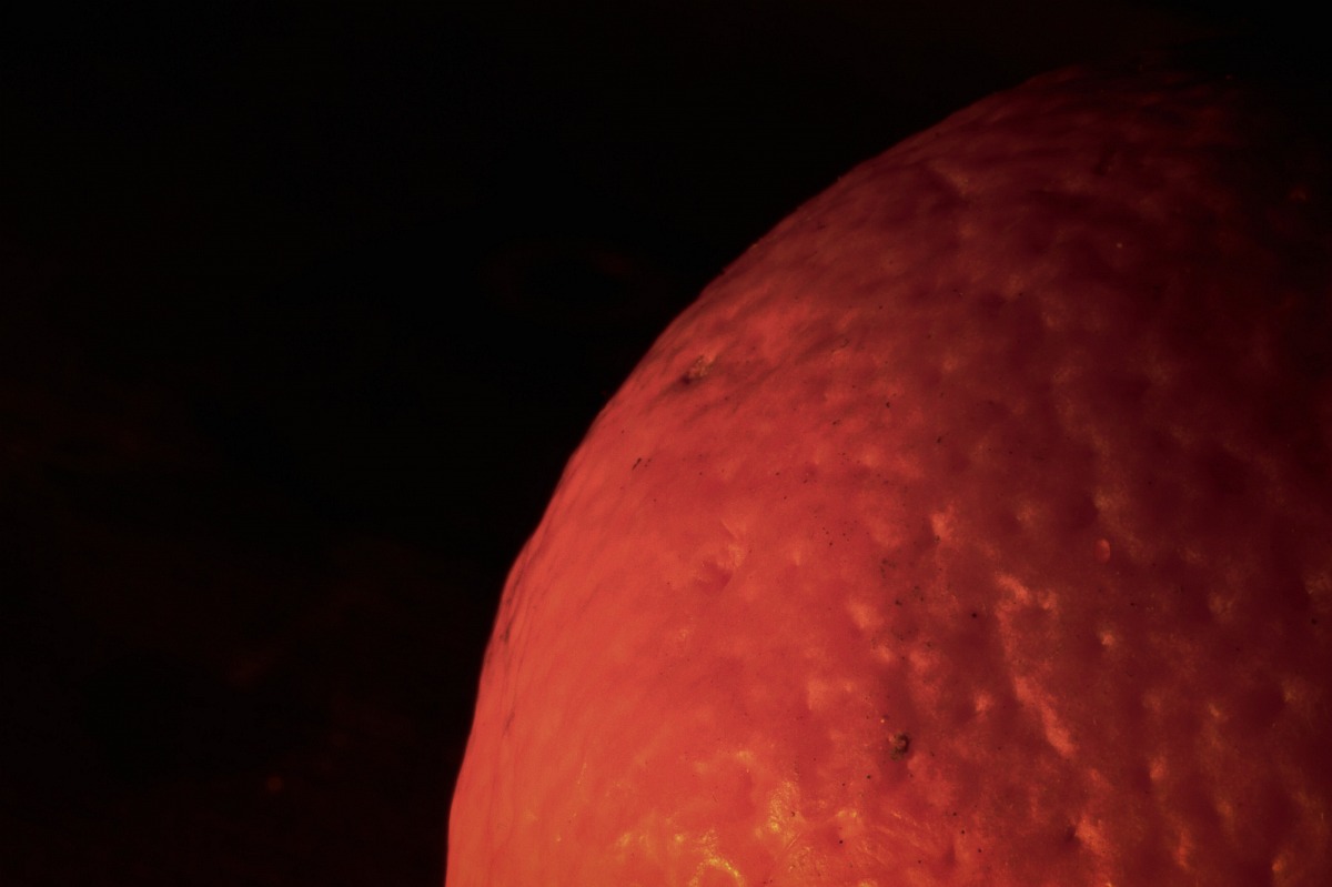 Spazio...alla vitamina C