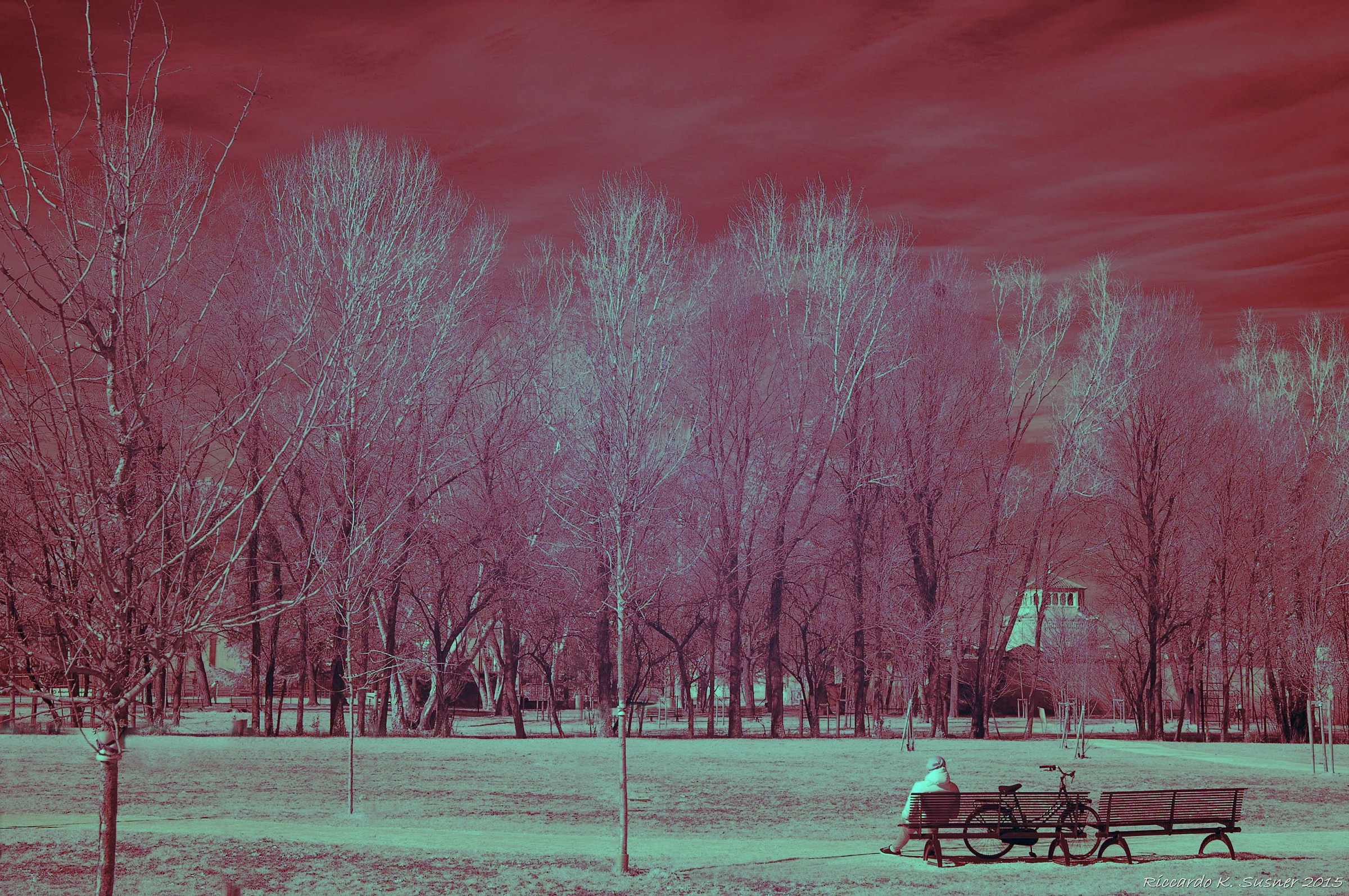 Modified infrared camera --Padova--