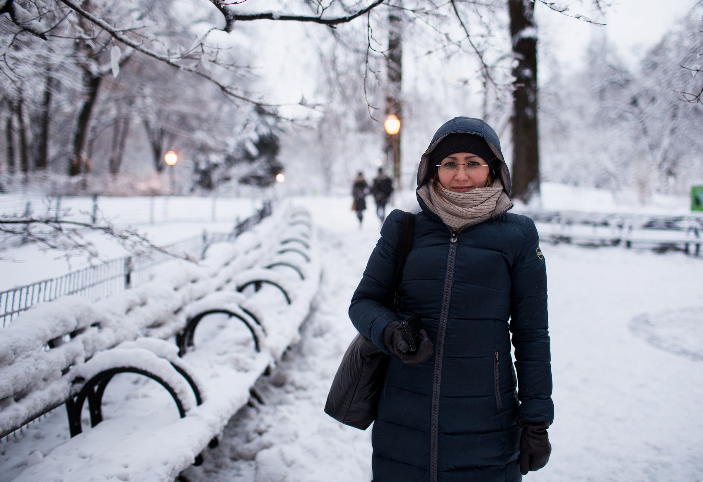 Winter in Central Park