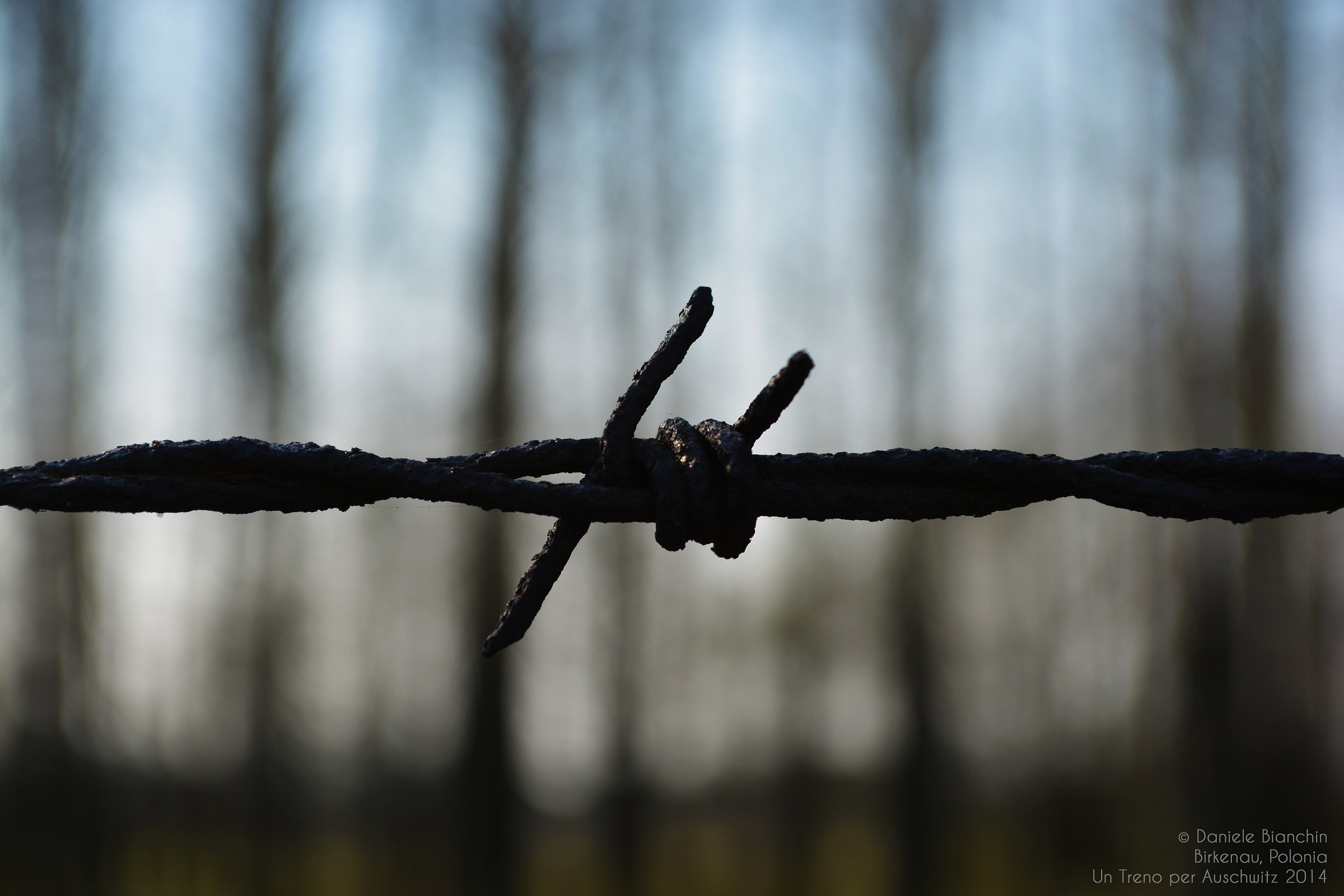 Filo spinato - Auschwitz