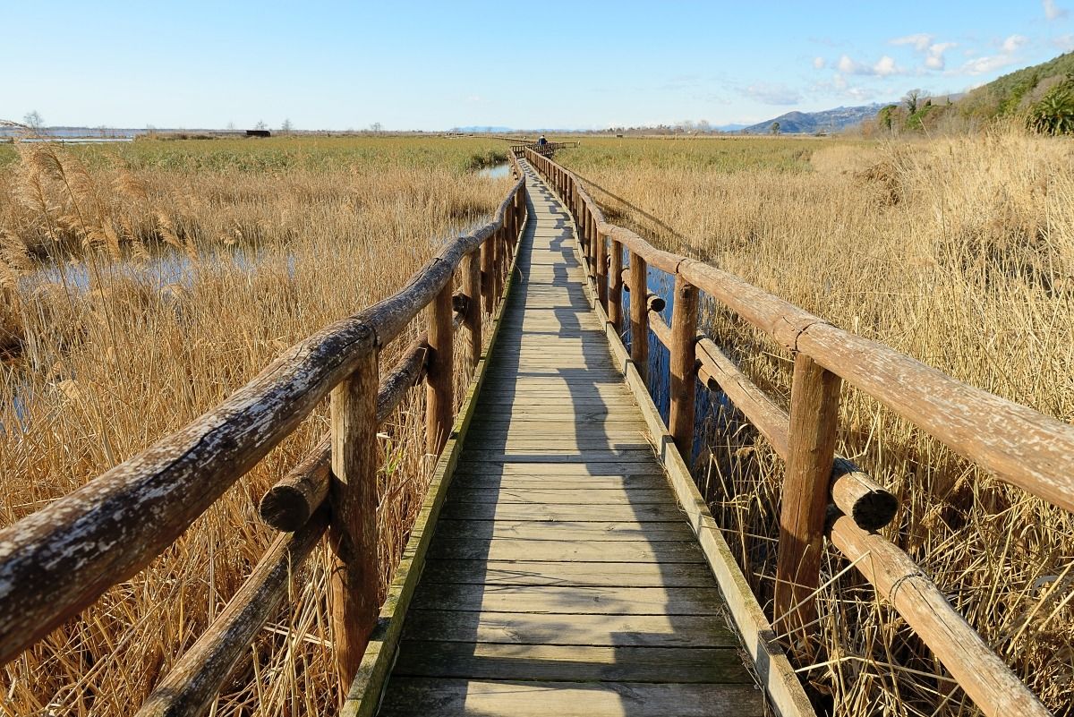Massaciuccoli Oasis Lipu