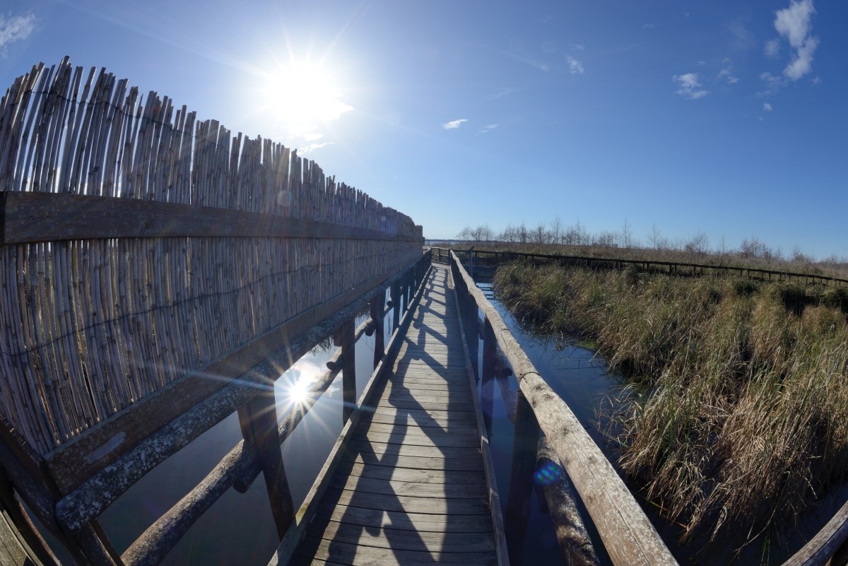 Massaciuccoli Oasis Lipu
