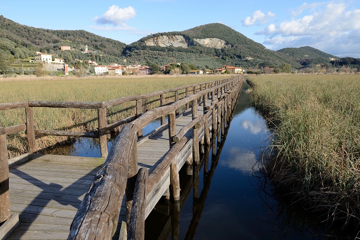 Massaciuccoli Oasis Lipu
