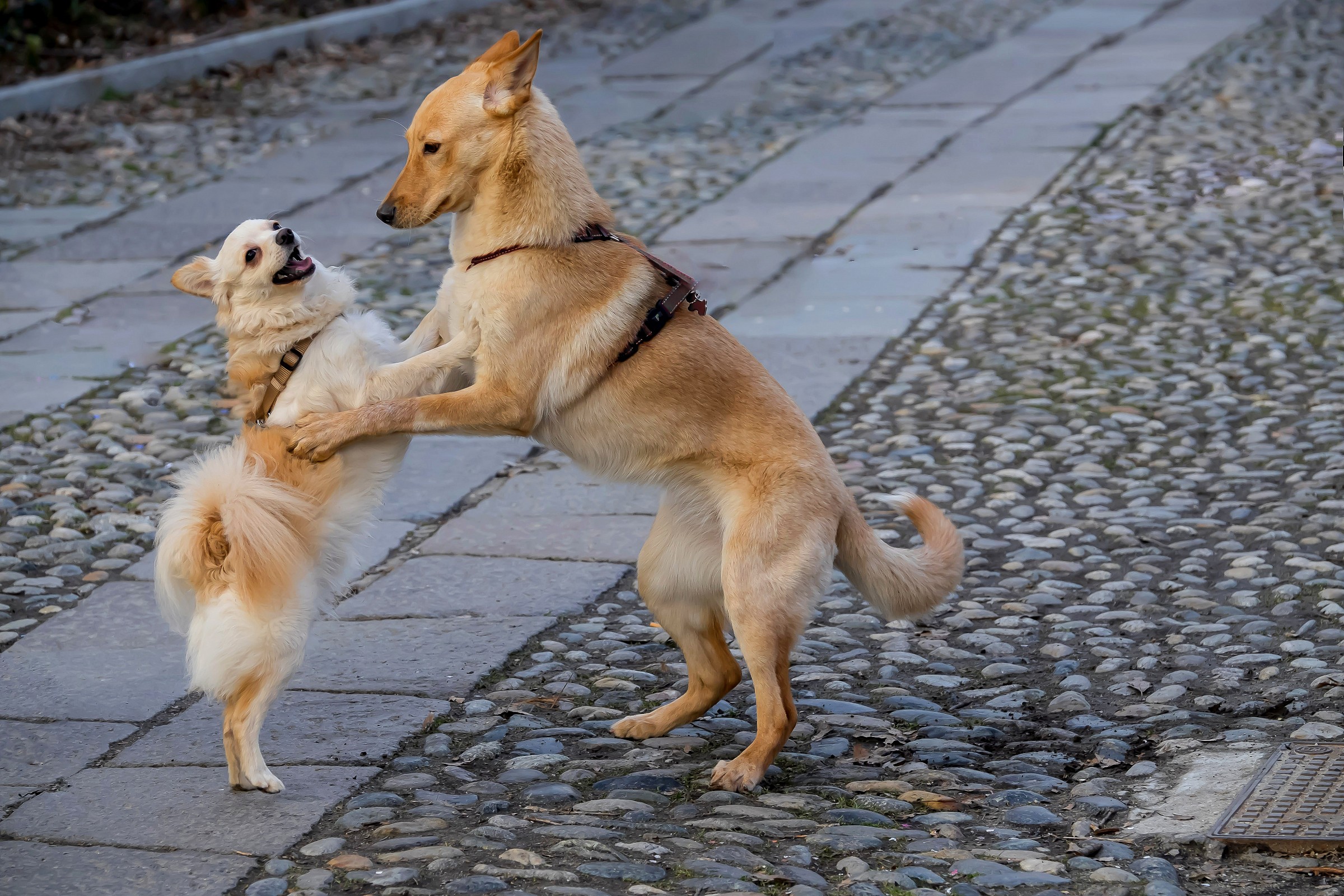 and now music teacher .............