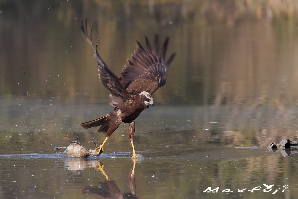 Kill what weights !!!!