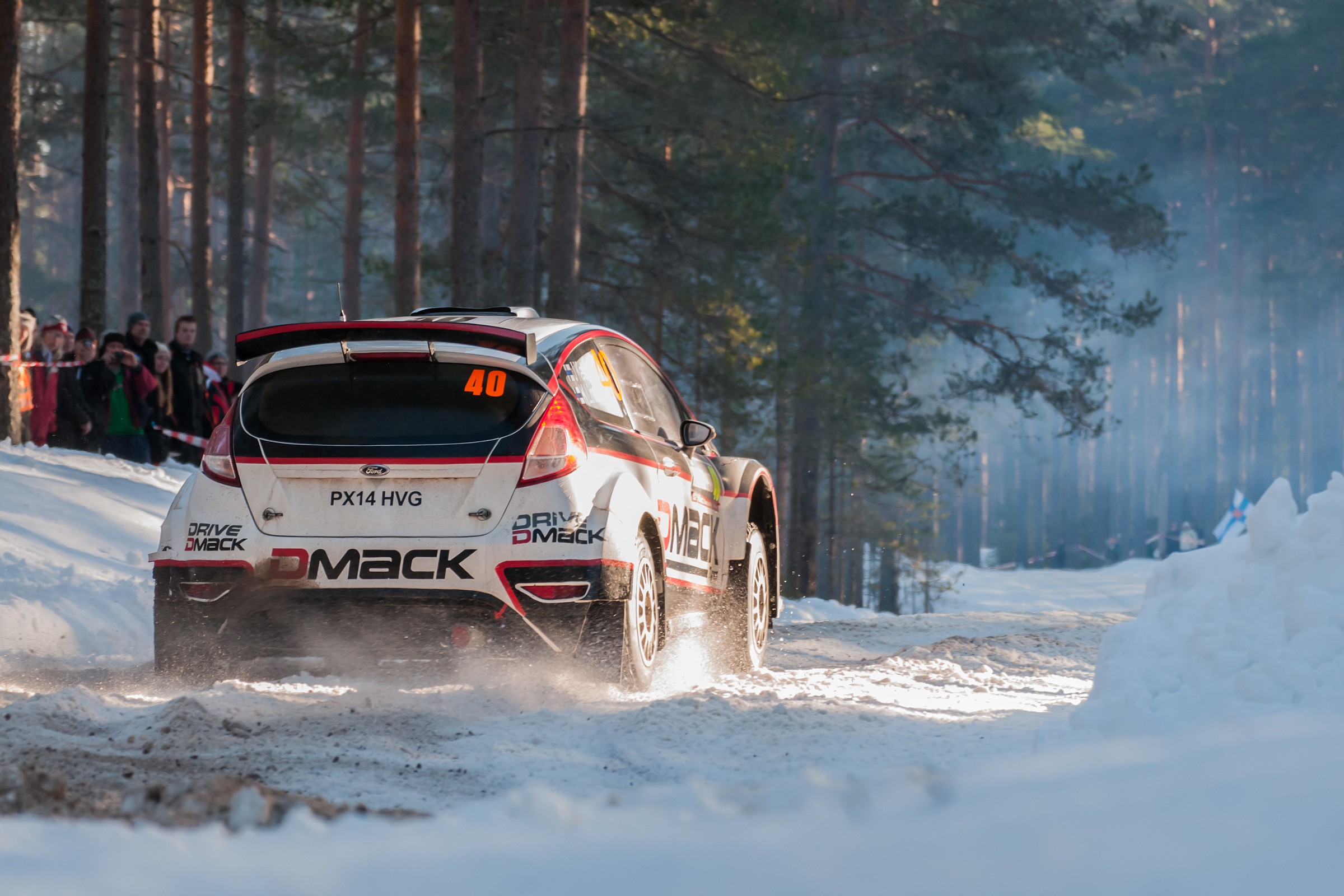 the Enchanted Forest 2