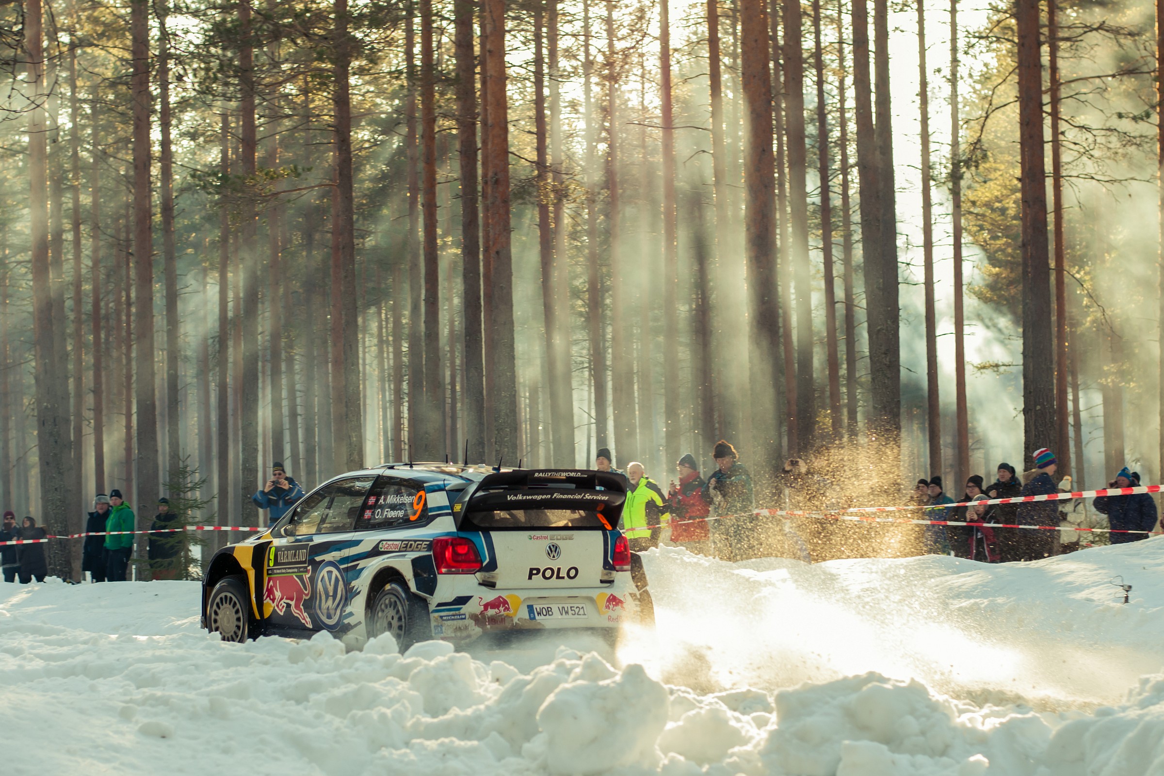 la foresta incantata