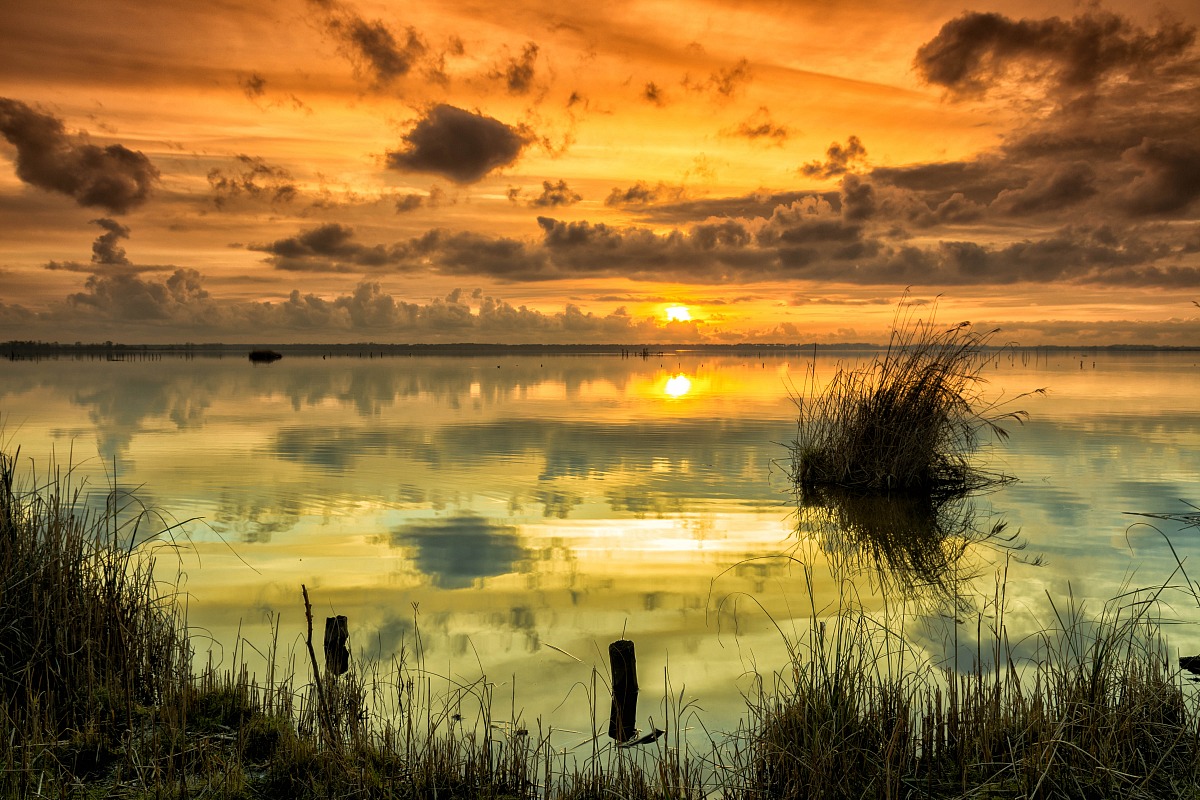 sunset over the lake Massacciuccoli
