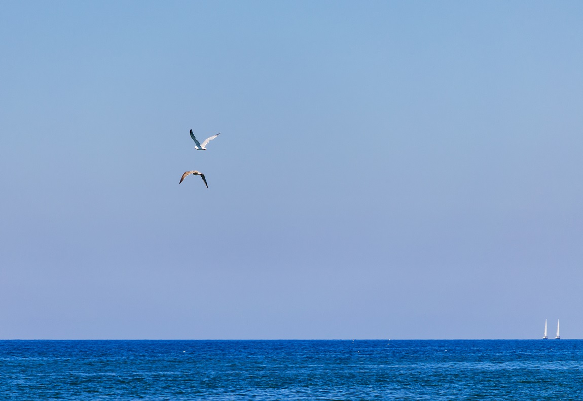 volo in due - Viareggio