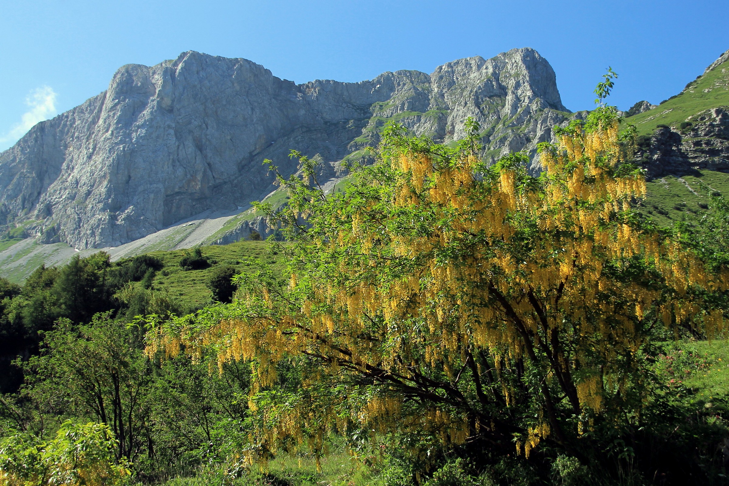 Arera May and pendant