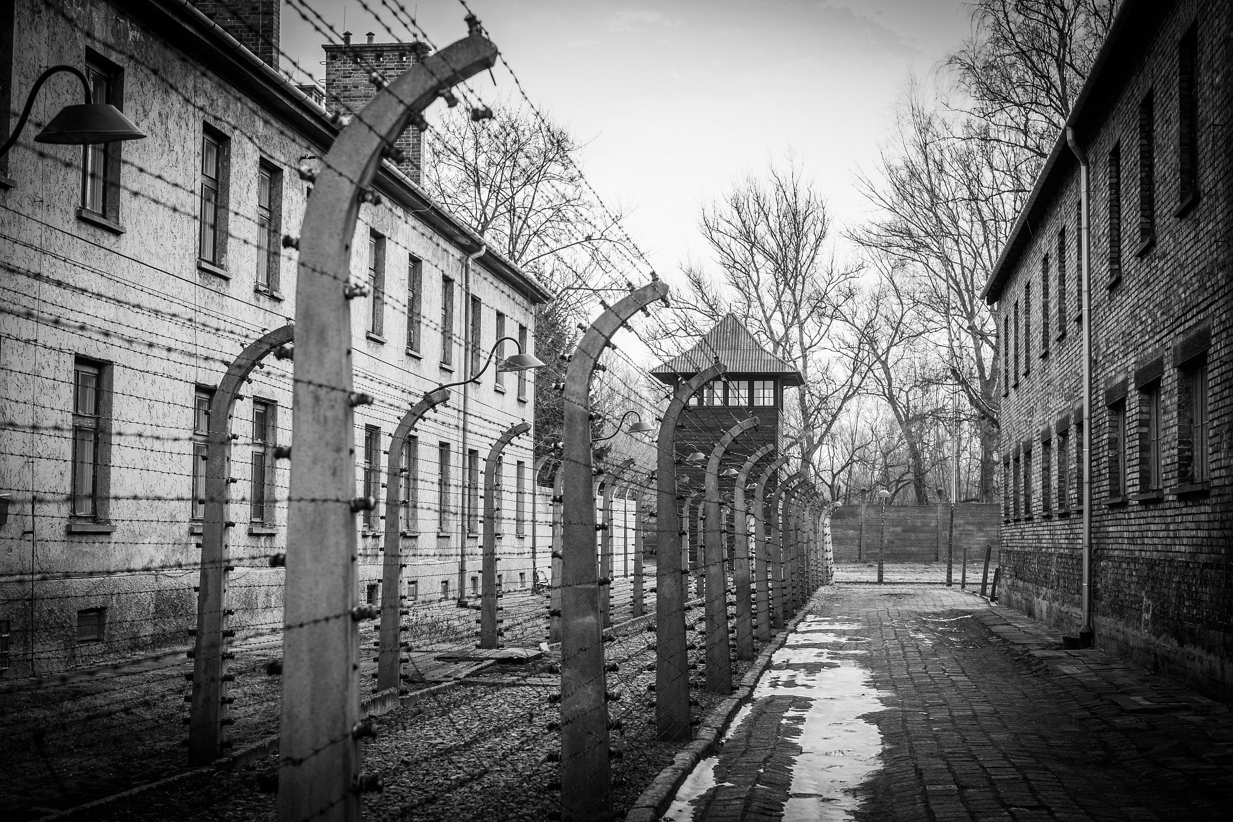 Auschwitz