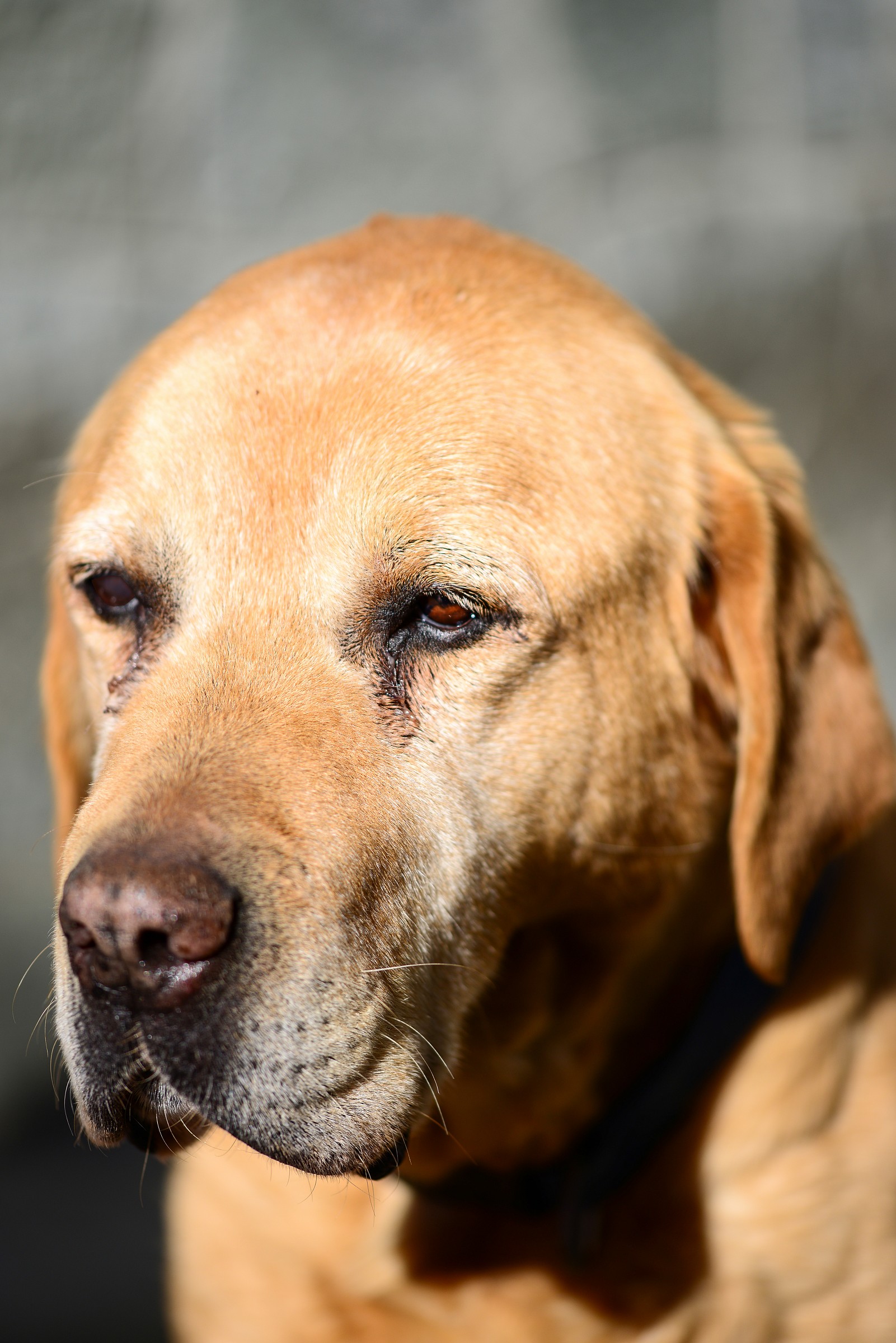 Old you ... but always beautiful!