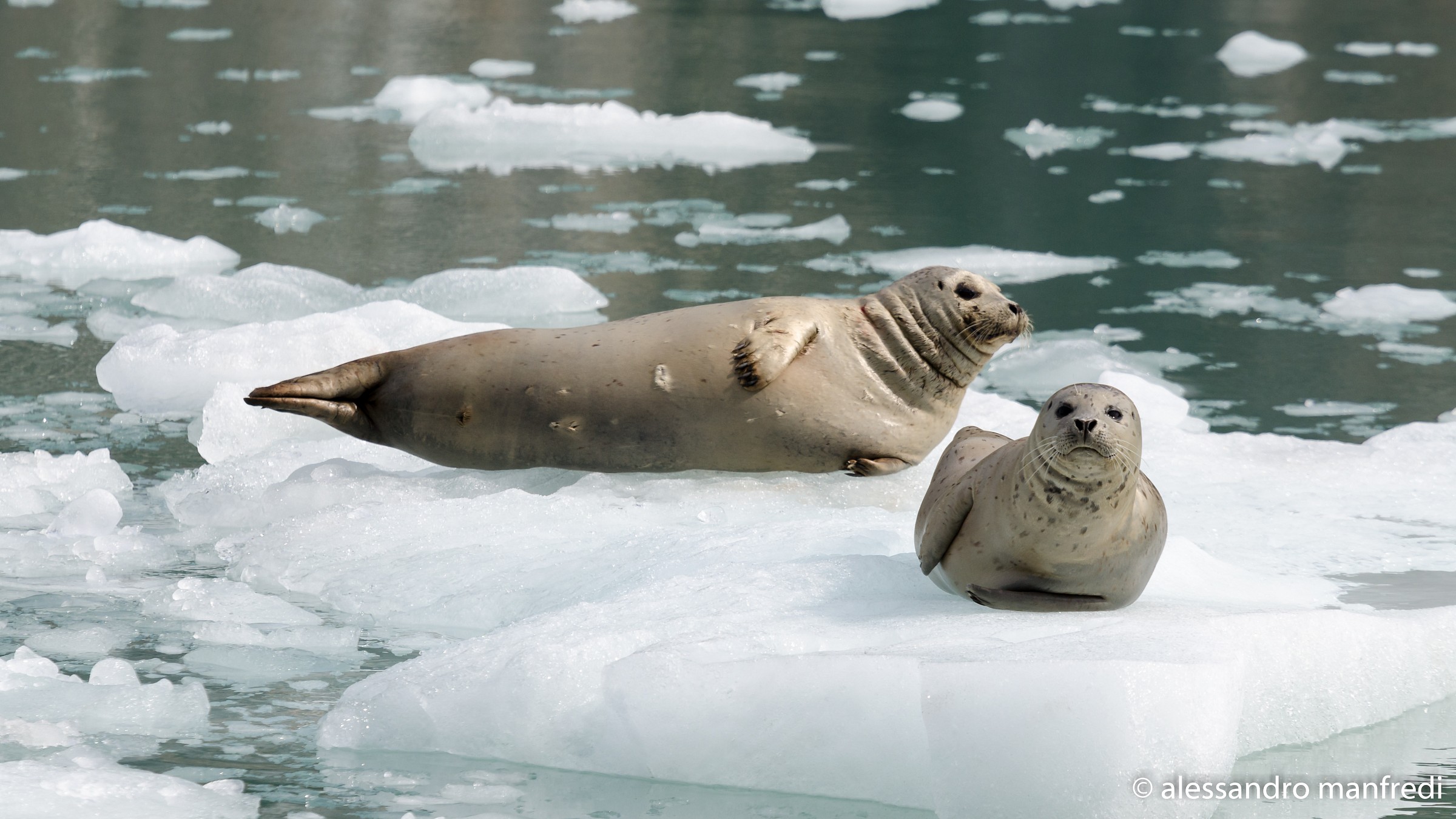 When you have the physical ..