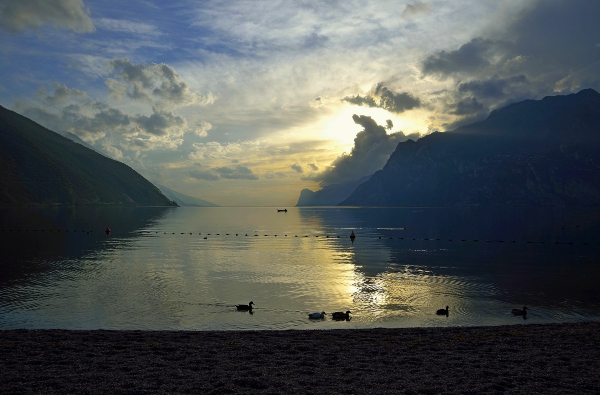 Reflections and silohuette