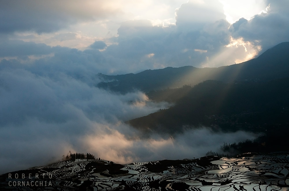 Risaie all'alba, Yuanyang