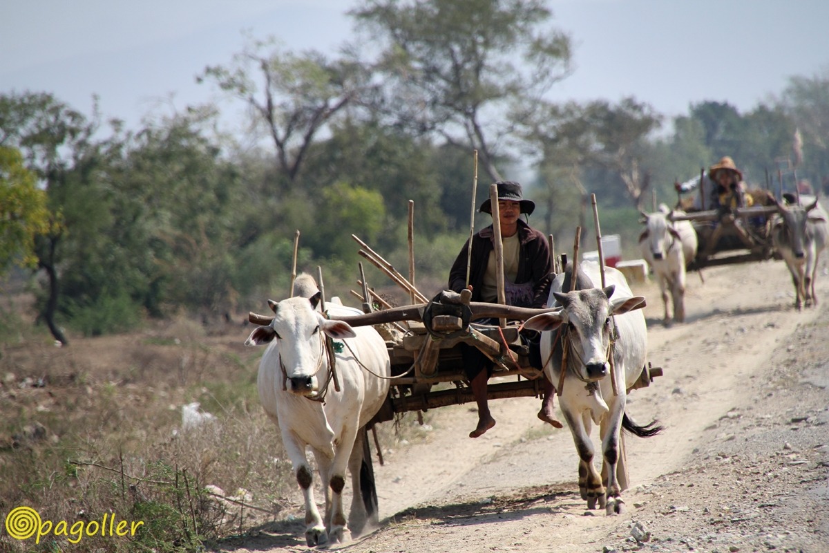 ambiente rurale Birmania