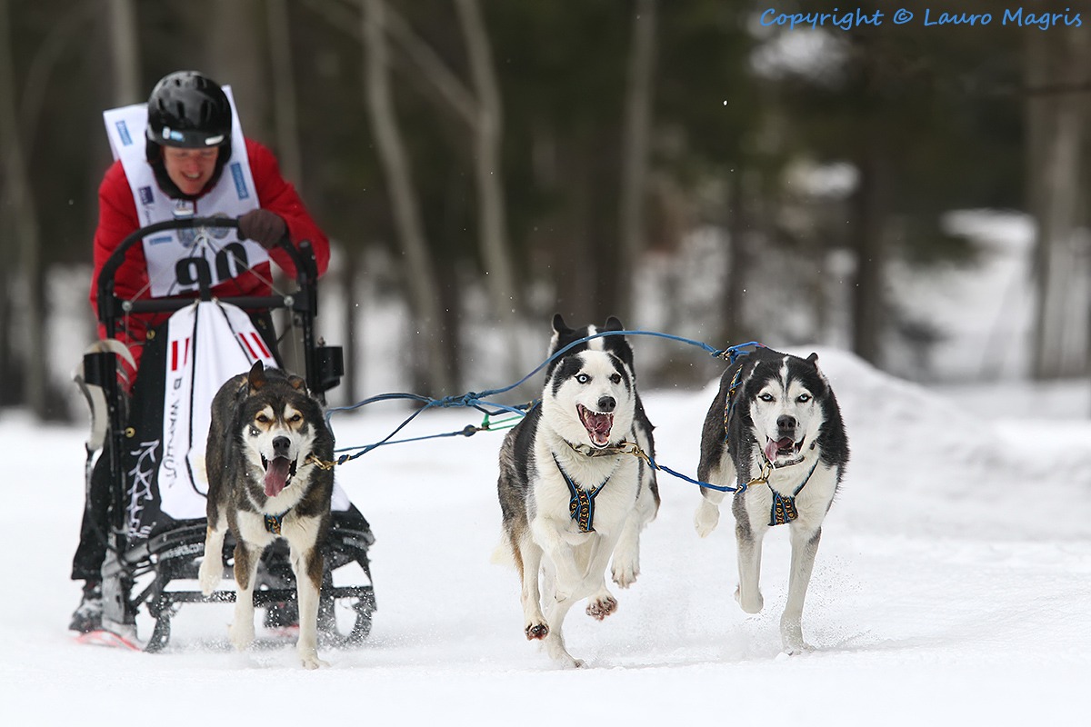 Il salto della corda