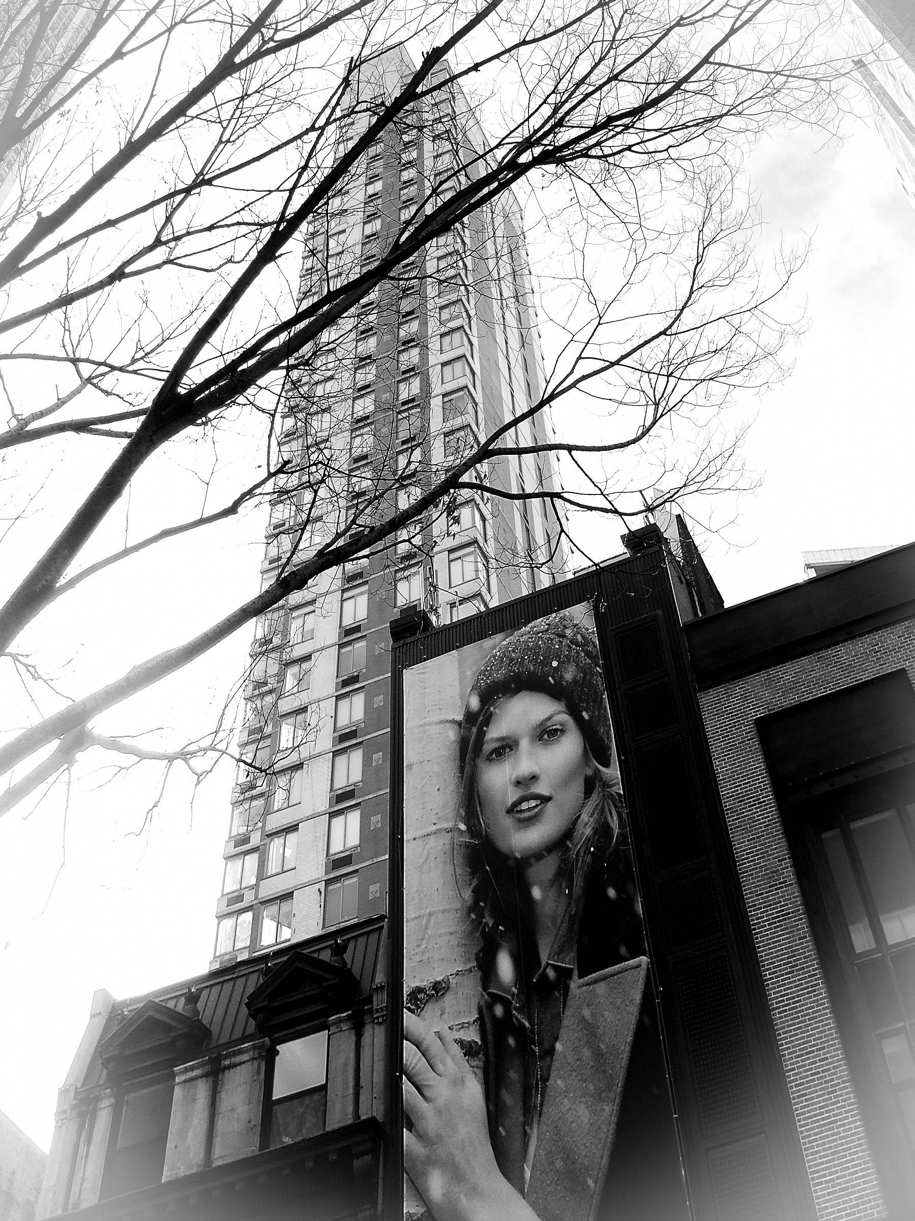 Sirena metropolitana