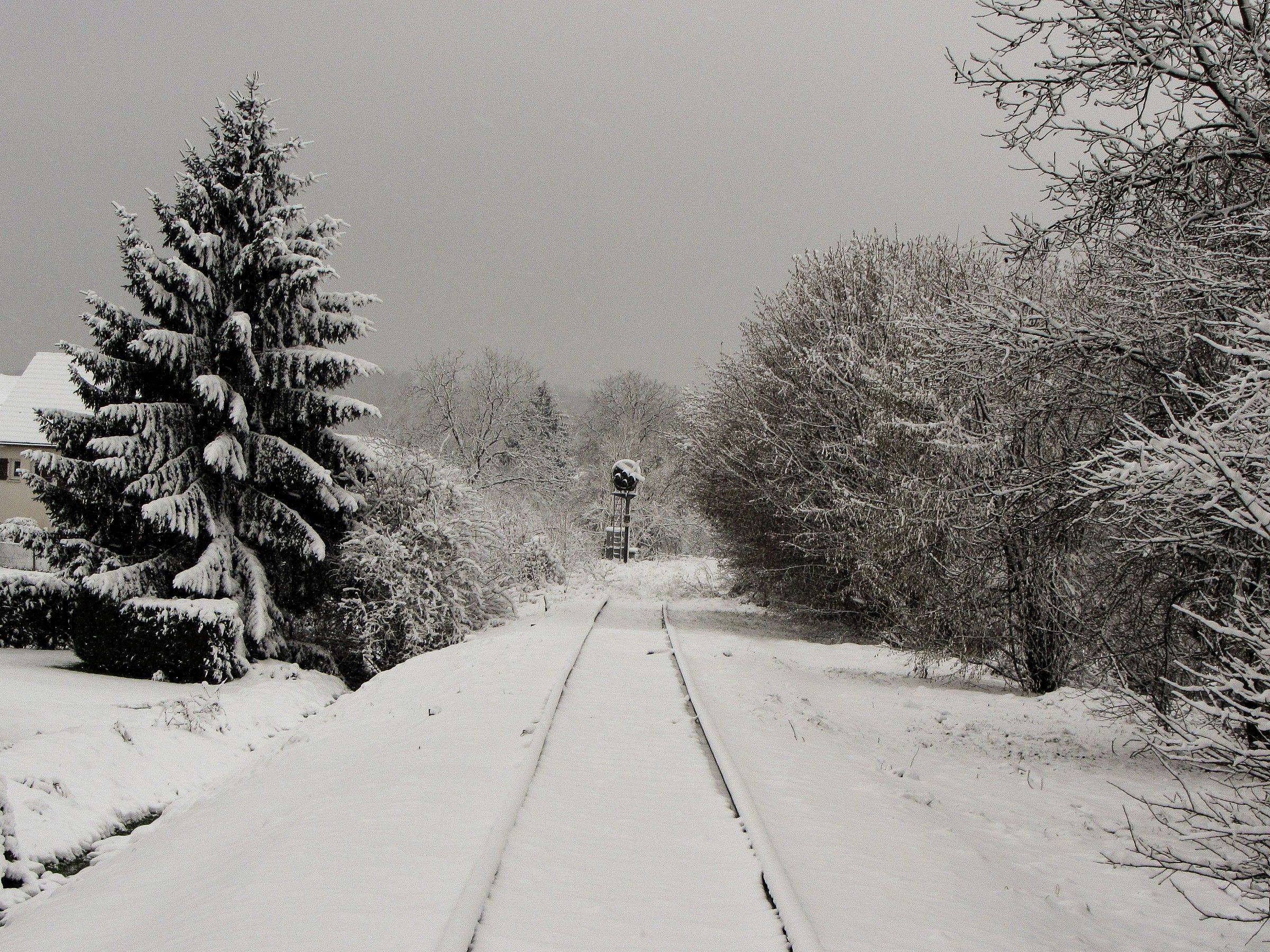 La ferrovia abbandonata